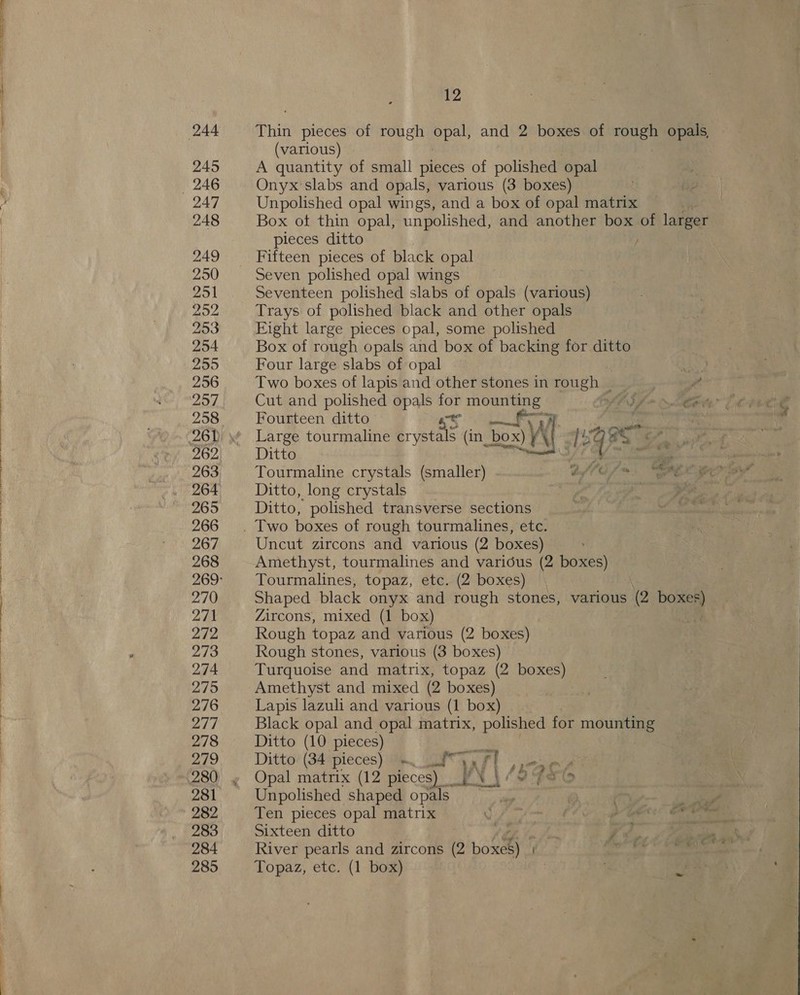 Se ee ———&lt;£ ee eee ee ee ee eee ae ae fee? ee eS LS ee a ee eee mC 245 246 248 249 250 2951 22 203 254 255 256 297 258 262 263 264 265 266 267 268 270 271 272 273 274 275 276 277 278 279 281 282 283 284 285 12 Thin pieces of rough ppals and 2 boxes of rough opals, (various) A quantity of small pieces of polished opal Onyx'slabs and opals, various (3 boxes) Unpolished opal wings, and a box of opal matrix Box ot thin opal, unpolished, and another box of larger pieces ditto Fifteen pieces of black opal Seven polished opal wings Seventeen polished slabs of opals (various) Trays of polished black and other opals Eight large pieces opal, some polished Box of rough opals and box of backing for ditto Four large slabs of opal Two boxes of lapis and other stones in rough Cut and polished opals for nee LESS CRE Oktay Fourteen ditto — +. 7, rage Large tourmaline crystals (in. box) As K 12988 r Ditto ys AES = att Tourmaline crystals (smaller) bffG fas “oe Ditto, long crystals Ditto, polished transverse sections Uncut zircons and various (2 boxes) Amethyst, tourmalines and various (2 boxes) Tourmalines, topaz, etc. (2 boxes) Shaped black onyx and rough stones, various (2 boxes) Zircons, mixed (1 box) | Rough topaz and various (2 boxes) Rough stones, various (3 boxes) Turquoise and matrix, topaz (2 boxes) Amethyst and mixed (2 boxes) Lapis lazuli and various (1 box) Black opal and opal matrix, polished for mounting Ditto (10 pieces) bi Ditto’ (344pieces) i, Aart oa Unpolished shaped opals ) | ae”. Ten pieces opal matrix . ot By Mh otha Sixteen ditto . Fh, re River pearls and zircons (2 bone * wall Topaz, etc. (1 box)  