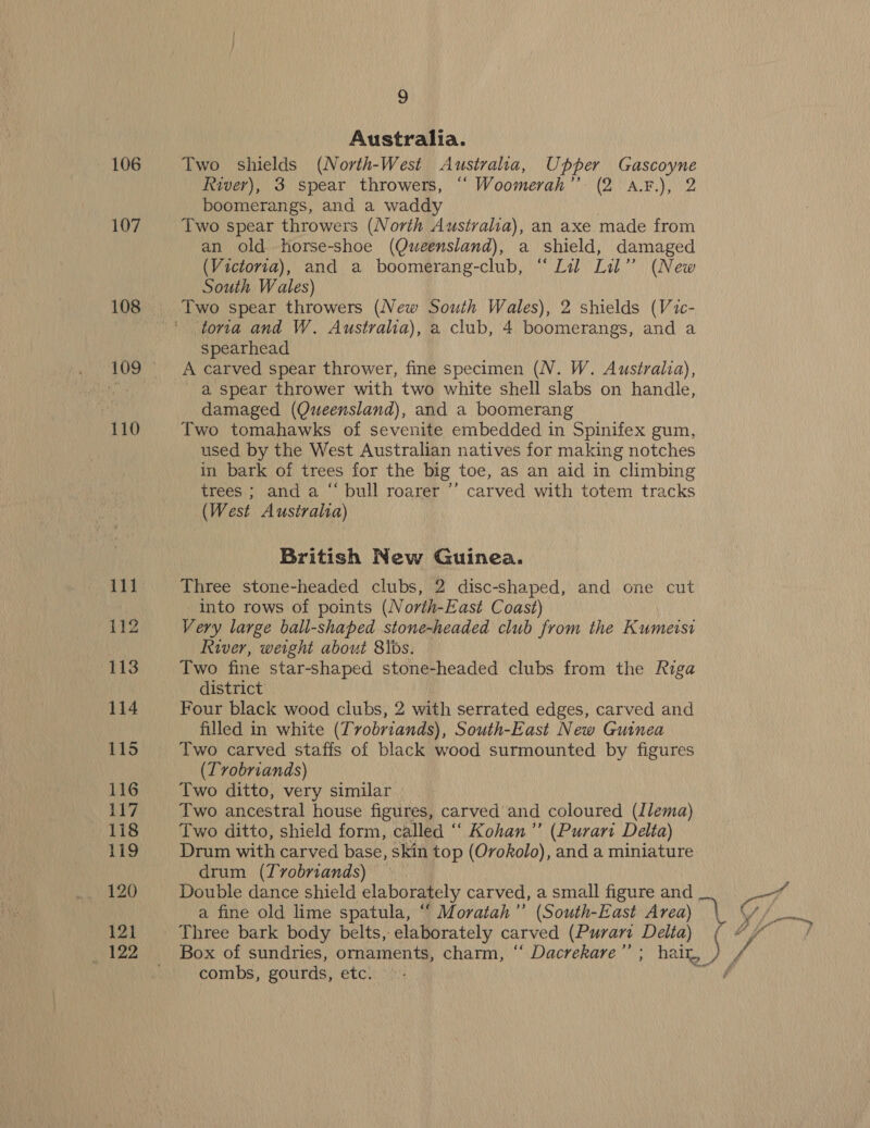 Australia. 106 Two shields (North-West Austraha, Upper Gascoyne River), 3 spear throwers, “‘ Woomerah’’ (2 A.F.), 2 boomerangs, and a waddy | 107 Two spear throwers (North Australia), an axe made from an old horse-shoe (Queensland), a shield, damaged (Victoria), and a boomerang-club, “Lil Lil” (New South Wales) 108 Two spear throwers (New South Wales), 2 shields (Vic- ‘tora and W. Australia), a club, 4 boomerangs, and a spearhead 109. ~—A carved spear thrower, fine specimen (NV. W. Australia), fect a spear thrower with two white shell slabs on handle, damaged (Queensland), and a boomerang 110 Two tomahawks of sevenite embedded in Spinifex gum, used by the West Australian natives for making notches in bark of trees for the big toe, as an aid in climbing trees ; and a “ bull roarer ’’ carved with totem tracks (West Australia) British New Guinea. 111 Three stone-headed clubs, 2 disc-shaped, and one cut into rows of points (North-East Coast) 112 Very large ball-shaped stone-headed club from the Kumeisi River, weight about 8ibs. 113 Two fine star-shaped stone-headed clubs from the Riga district 114 Four black wood clubs, 2 with serrated edges, carved and filled in white (Trobriands), South-East New Guinea 115 Two carved staffs of black wood surmounted by figures (Tvobriands) 116 Two ditto, very similar 117 Two ancestral house figures, carved and coloured (Jlema) 118 Two ditto, shield form, called ‘“‘ Kohan” (Purari Delta) 119 Drum with carved base, skin top (Ovokolo), and a miniature drum (Tvobriands) — 120 Double dance shield elaborately carved, a small figure and Poh a fine old lime spatula, “ Moratah’”’ (South-East Area) i Wat 121 Three bark body belts, elaborately carved (Purarz Delta) ah AUaee _ 122 Box of sundries, ornaments, charm, ‘‘ Dacrekare”’ ; hair, combs, gourds, etc. i