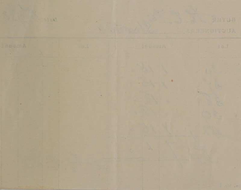    : ‘ * * iw : % ite * Se |. .... HAYA oe ce ry rom Pa atk, nh hifi shea Sab ohne ih kcal ee +9 #4 RY TOUA Lo ied my a _ ie, ach a =  Io] . s } } ‘ * Pe t . ; e. 3 . 5 ¥ ™ ake > Mia 1 r i Xx) . -. ri : j hap ‘ , j } - = A i i. bi 4 7 r j : 4 , — 3 e 1 ¥ 7 # *» - ¥ rapa > - » ad ins is ‘ a i, 7 3 f | . ; : Sas fi ' ‘ i q : ‘a At &amp; ee <m— nae 4) tha Trai > 1 + ' < + 4 7 = \ yes oi t “~ a * ul q é ae 4 ‘“ ae. ra fa 39 . aoa! ae sie t ’ ') P i rf D> peor Ae : $< 7 - / ; ohne ; oem he Les
