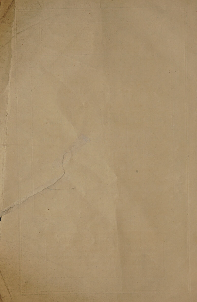 ile P<) ate te Bethe ns 