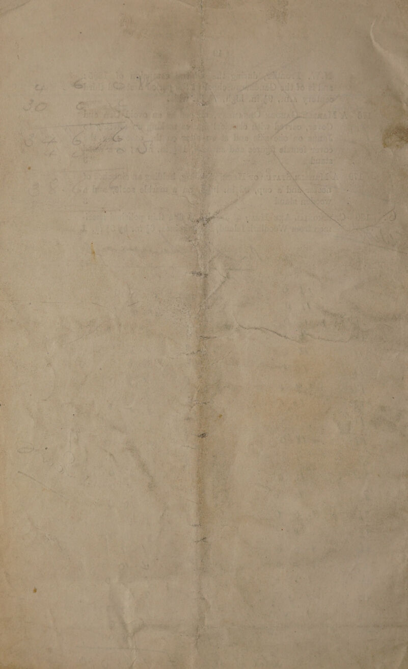 Ry A ch, ie rt y ae 100 19/0) “ae fa eR Ls gia oy” - Semele, Tica Ab Now ets a) meen eee DM @iahris?   al ; 4 Mee ne reheat TORT Pe, ap TR en ah ag ba ef SP ee bie Gi: eS   &amp; t Méstinge ln pei ai mal ‘ 7 Are  