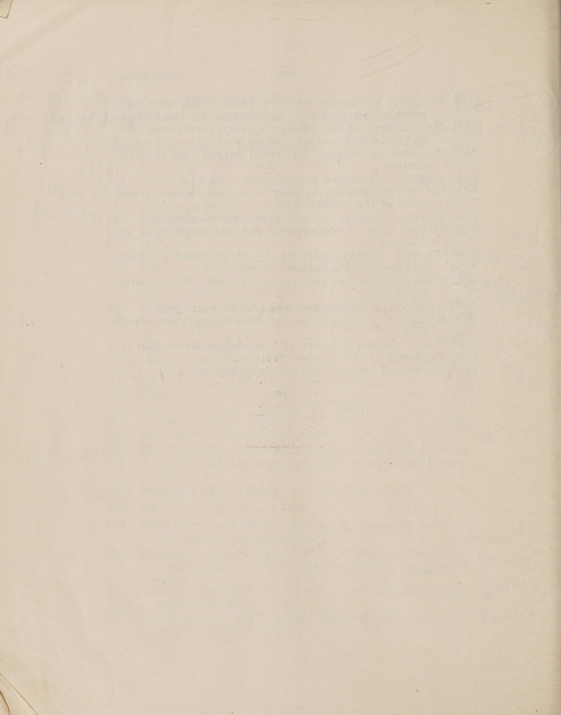  ‘ if. 4 i 2 “ oy f cs E &amp; z . ra 4 = 7 f ae F nN , = ; 1/ a 8 / te a j ih  w + » =4 - ’ = - « a . ar = * =? 