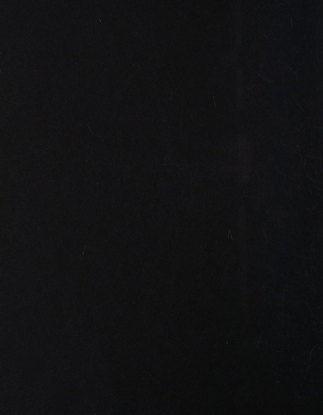 digitised image 2