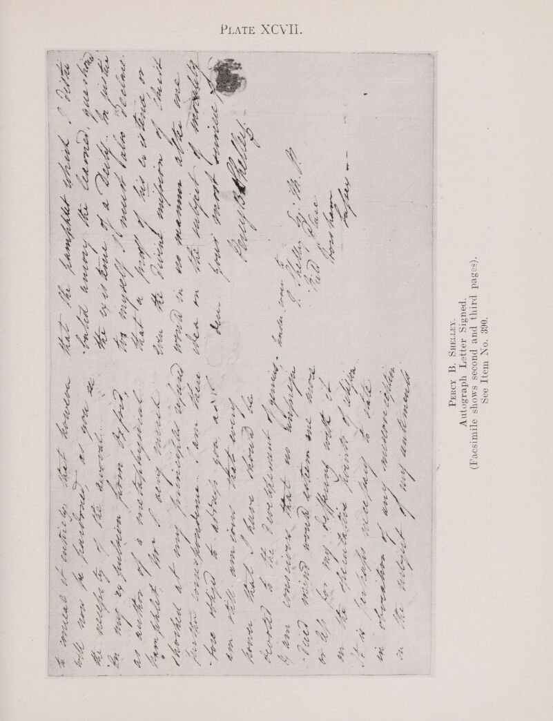 06 “ON WojT oag ‘(so8vd patty puv pUOdeS SMOTS O]ITISOV, 7) ‘peustg doyeqy ydeisojny ‘MATIN “G ANNA 4 f esata ih ee arenes &gt; USL Sar erie Chen ayes : a ; | 3 A : = eho ae Ly BEALS ad eae on ge rag   H + 5 . SF ge LO? te Sopp eee she ALE ES age : wef : Seip Z Ue : Lge A. 5 LG so: be 2 DT a 2 LG eg tt GIP ae Mee PPA Pz thot 2 1% ‘ Fe (dante ee i le ey YD ae iy a Pine ez PPELS etc ay asia ags CFL Kee s oe + ie ae eB Cad wee WEBAIP PD teey 4y . - at ai dan ee POP Nash . g | ad 2 ee 4 ea a snes | : LA: SOO AE Te Ze oo. fgets P2yg | | yy, “al oi Pr BADE Eee tpvitp7 « Sey ge EY i EPPEK P PLY BO scr EY GREG : | ft : Ho Or o : aes. oo andes pt ge ace Lal by | G eee, te y Rb Crate SOO ee x ) gata vw aeePR ex Ls fo Lgefpr ae t. flo a Penor e Sere ee PHBL re oe: Y ALL 27 45 ea Gee Ving fee es Leg ae ey, sey gh A ' CPEDL LY Thi ig (Ftd Citys a vero res of ae os DOOELAAY A :  Ge ae onde | VU GP. peeatd ETE ye a LOPE ey | fo. | eG 1s ELL CS LAS Cerin tig! VP Pa PAE “ bp a Le @ eet : “ De B Wier Sir re SAL ye o - Ber oe i he ye é &lt;&lt; phe OM ; eo. oe ese at — ae oe oe sie ovoes Pete ee ge PPE by | Dope A TY aaa ‘ oe as sae OE Sede: ee ig ak “Bagge er OO gear aan © Oe, Af etl FOE eee 7 7 Perry eS ee EG? ae. See