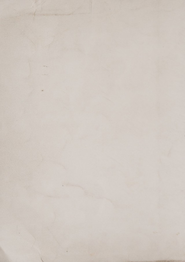 digitised image 2