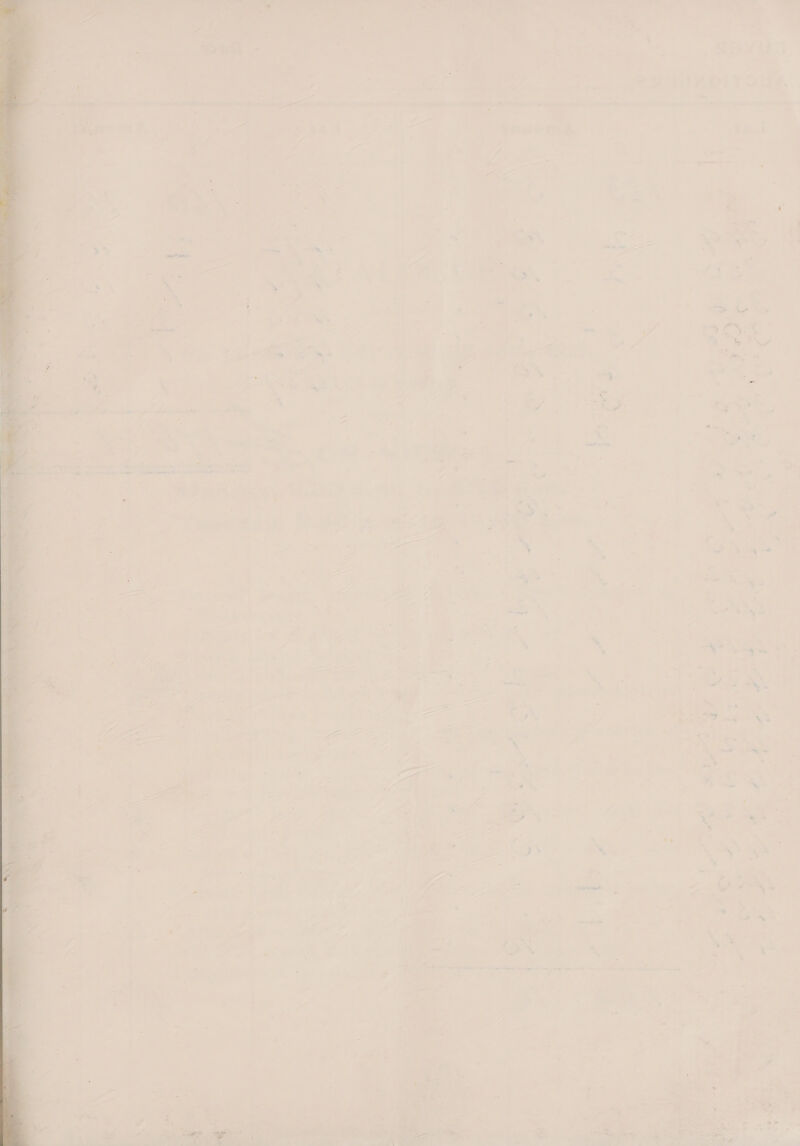 ® —ve tds ta 7 a | oA | r ‘ ” 7 5 oe | 7 . \ a : . * @ poster % w . ‘ : a y aa J 5 ru Sal . . ia — ae            = — me - r ; ated . im s % > 7 4 A he i . 3 “4 ‘ 4 = 0 5 $ w 4 a Perron i 4 7 as ’ ' + ee, a : - ; ' - 4 Fs * , ¥ * ‘ a 2 3 . > % ’ “i @ a) : ng iy 25 a %. ;  = 1, - Pa 7 ¢ A leon aii oh 4 “ sy y ‘ a a o As . 4 me = ‘ by - 7 re d “ = ee - - —_— . — oa - i a om amet - anal a 4 + “* £ ae : : J hae v a a a PS ‘ “ 4 » — a: x 4 4 r ~ &amp; ; a . ‘ 4 - i. iad x a a &amp; > bs + ow a . z  y ni * 2 Pet Wipes 0 ~,  ony id a % 2 we - » ns : * P tt nap 3 ¥ . ; FI aa! “ he a ‘ yf . ‘ : ” * eae ’ 2% ; = i — be 7 ~*~ ‘ E ama ’ sys Sly x . ¥ s * : s — i « =! “ . ? =» “= = = i . se = - 3 . = « Sf [to hig: xe 7 5 x 9 re. . iS * as “, \* ys ‘ ‘A as . . 4 pe . = e - oer Fa « - a ; = ' ' «  2 - , , - \ - = ad % ra * ay P Pp atl al aad alae eee Sere ‘ an nag = ‘ . oe: a . = . > * ry ' as © G . : - y ae 2 FS - j ; ™ fe x nits, F al Tis « a a? * “a <e ’ * — i> »  