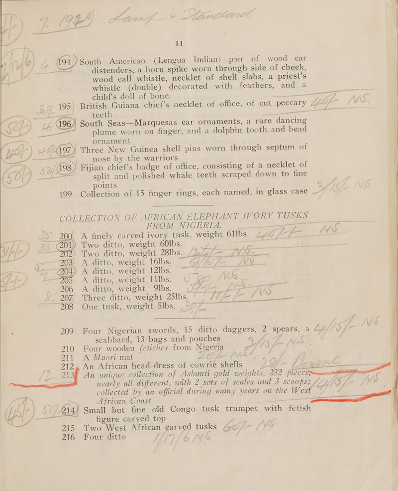  a es il | _ (94,) South American (Lengua Indian) pair of wood ear a distenders, a horn spike worn through side of cheek, wood call whistle, necklet of shell slabs, a priest’s . whistle (double) decorated with feathers, and a child’s doll of bone. | le eet | 195 British Guiana chief’s necklet of office, of cut peccary Mfr [Fs | fosex~ - | «teeth | a eke | £196) South Seas—Marquesas ear ornaments, a rare dancing ‘ ae plume worn on finger, and a dolphin tooth and bead : a OFOAIMCIN) » cin} | . /4497)) Three New Guinea shell pins worn through septum of ; ees nose by the warriors , F «&lt;» 498.) Fijian chief’s badge of office, consisting of a necklet of es split and polished whale teeth scraped down to fine points , 199 Collection of 15 finger rings, each named, in glass case  GOULEGIION OF ALRICAN. ELEPHANT IVORY TUSKS : | | PROM NIG ERT et ee a 5S- 200) A finely carved ivory tusk, weight 6llbs. 240 A“ f— a//.) 3 (201) Two ditto, weight 60lbs. — __. “ci | AZZ 07) Two ditto, weight 28lbs. (27-7 _7VV &gt; a  703). A ditto, weight 16lbs. ~ GY/AVZ- NY...  a &gt; @04) A ditto, weight 12lbs. by hs L705, A ditto, weight lilbs. WV &amp; (Ve , ae 206 A ditto, weight Olbs. io ~ _pY¥ov- gern aa | &lt;. 207) Three ditto, weight 251bs. fe fo ot ve ee 208 One tusk, weight 5lbs. | 209 Four Nigerian swords, 15 ditto daggers, 2 spears, a Lf ty) f7 scabbard, 13 bags and pouches nf, 210 Four wooden fetiches from Nigeria IP AD ff a &amp; 211. A Maori mat L0 for obo 212, An African head-dress of cowrie shells Lew J ewe? 38 An unique collection of Ashanti gold weights, 232 PIECE Sears csi f nearly all different, with 2 sets of scales and 3 scoops; #7 V5 fe collected by an official during many years on the West Uf  216 Four ditto 4/19/16 74S a we African Coast a PLS Gide eT ds et eee old Congo tusk trumpet with fetish st 215 Two West African carved tusks “oc” |