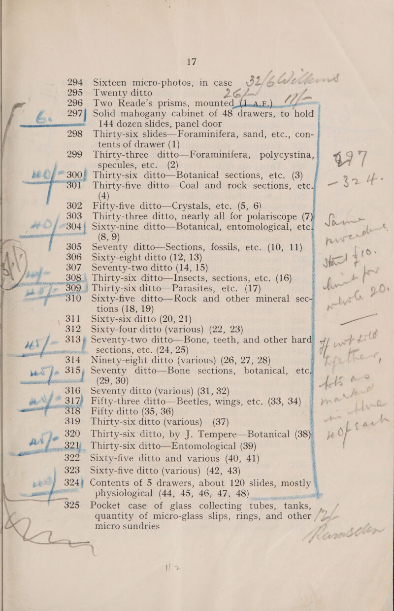 Sixteen micro-photos, in case \Pide/ &gt; ew Twenty ditto LG af. Two Reade’s prisms, i SSE LIT a Solid mahogany cabinet of 48 drawers, to hold | 144 dozen slides, panel door | Thirty-six slides-—Foramunifera, sand, etc., con- | tents of drawer (1) / Thirty-three ditto—Foraminifera, polycystina, | _ specules, etc. (2) : )’ Thirty-six ditto—Botanica! sections, etc. (3) | Thirty-five ditto—Coal and rock sections, etc (4) Fifty-five ditto—Crystals, etc. (5, 6) ‘ Thirty-three ditto, nearly all for polariscope (7): Botanical, entomological, etc. onl, Pere rrr Seventy ditto—Sections, fossils, etc. (10, 11) “ | Sixty-eight ditto (12, 13) Seventy-two ditto (14, 15) ., Lhirty-six ditto—Insects, sections, etc. (16) 309... Thirty-six ditto—Parasites, etc. (17) Sixty-five ditto—Rock and other mineral sec- tions (18, 19) &amp; e Sixty-six ditto (20, 21) att Sixty-four ditto (various) (22, 23) ? b 12) f      bat Se Seventy-two ditto—Bone, teeth, and other peer wi sections, etc. (24, 25) Ninety-eight ditto (various) (26, 27, 28) , Seventy ditto—Bone sections, botanical, etc. wt (29, 30) ' Seventy ditto (various) (31, 32) ‘ wil Fifty- three ditto—Beetles, wiles etc. (33, 34) 9 yré Fifty ditto (35, 36) | Thirty- six ditto (various) (37) Thirty-six ditto, by J. Tempere—Botanical (38) l Thirty-six ditto—Entomological (39) i Sixty-five ditto and various (40, 41) Sixty-five ditto (various) (42, 43) | / Contents of 5 drawers, about 120 slides, mostly | physiological (44, 45, 46, 47, 48) ws Pocket case of glass collecting tubes, tanks, m quantity of micro-glass slips, rings, and other / micro sundries  
