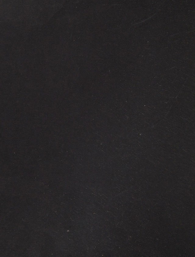 digitised image 2