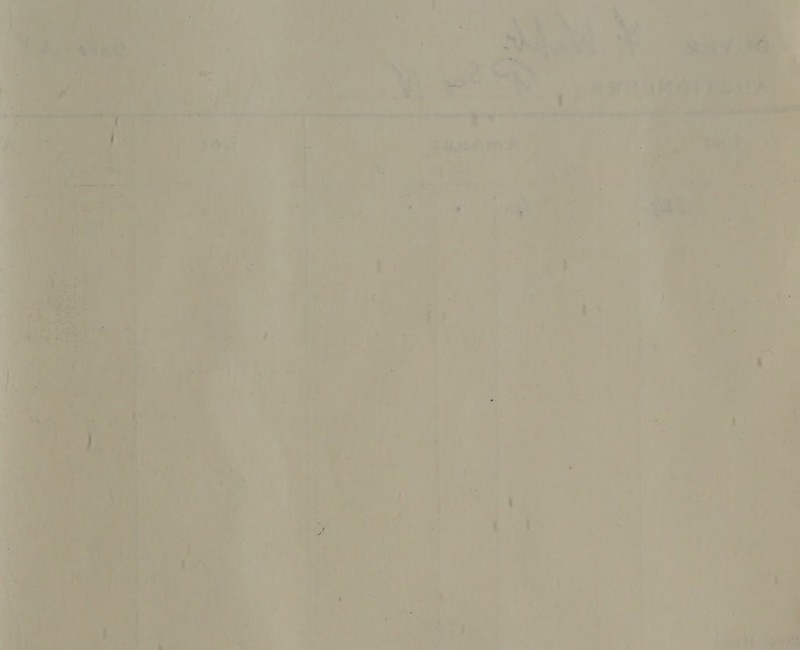  te = mnt = ga s ‘- aE ~ Gen oe ae oo = bar scl 4 7  ' ‘) 4 a et Dat eh i Sioa f § ‘ ’ a Lie 19 ; a F J pong : ra ‘ ~ - a P ie 6 M 