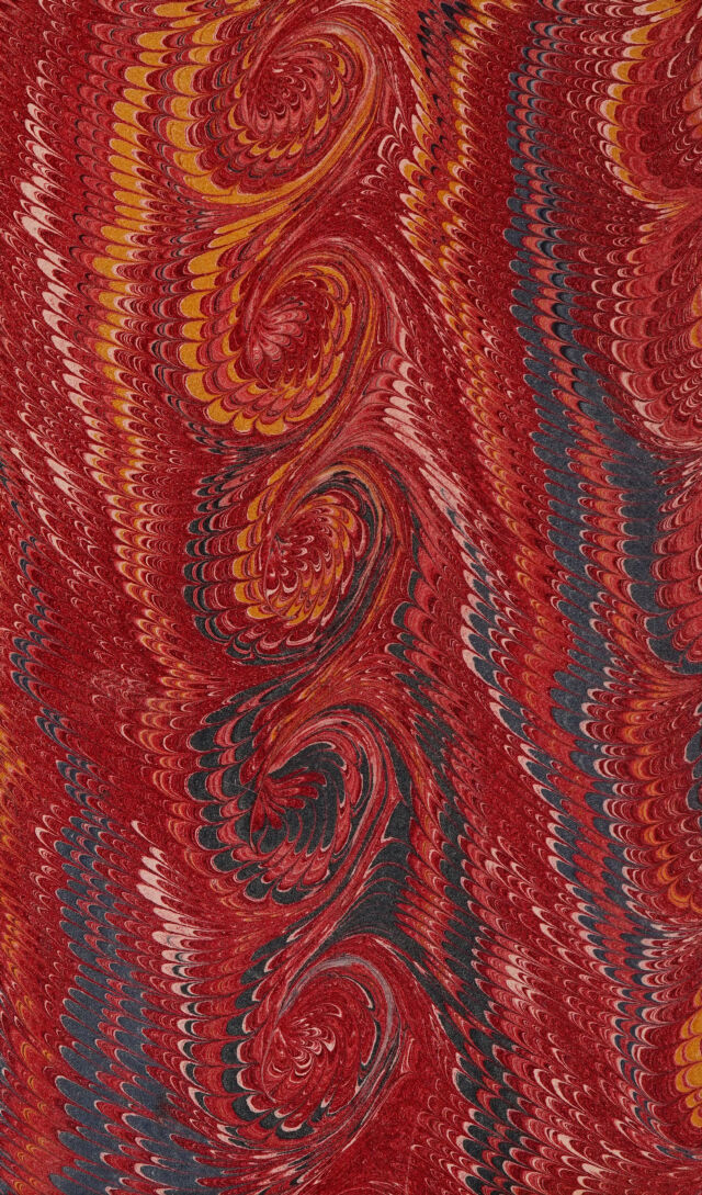 No text description is available for this image