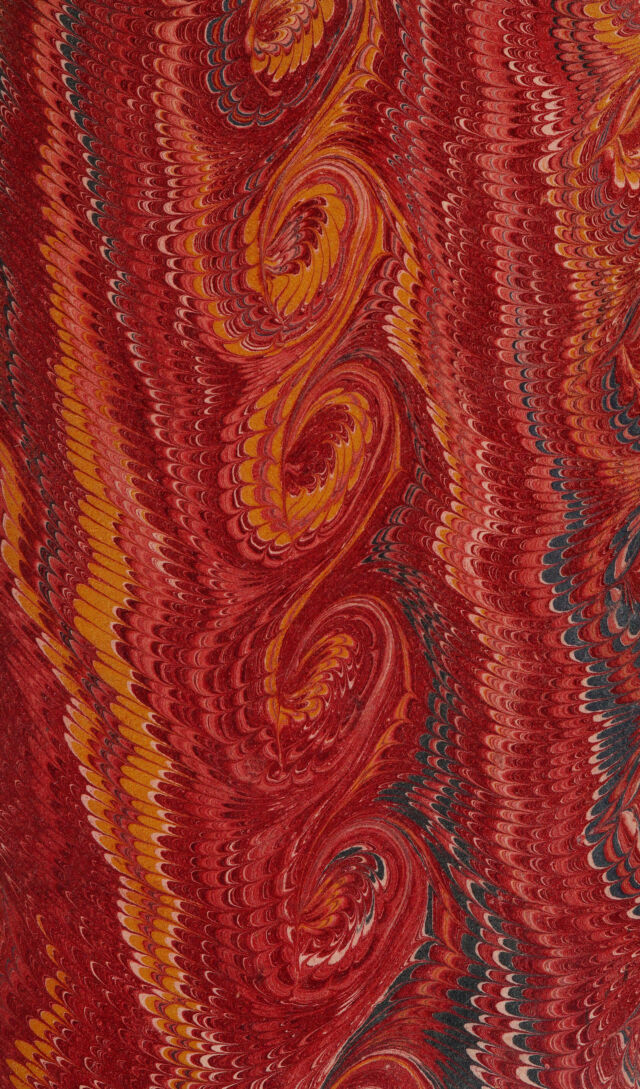 No text description is available for this image