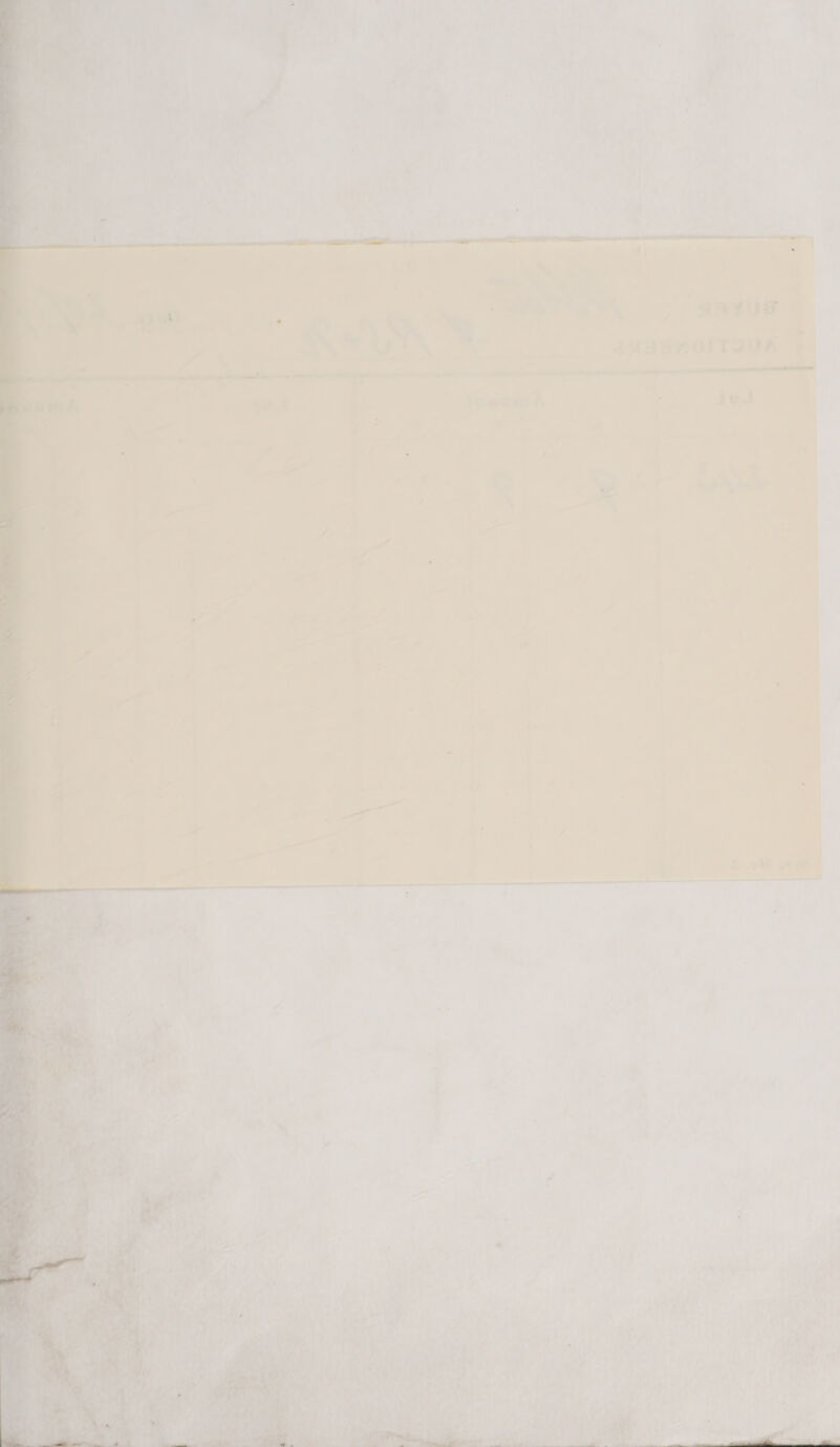    1 cal - 7 Ps b aa 6 ak we ‘ 6 ¢ ‘we } « j r a é - = Miieeen ; om \ , &amp; . \ - savour iad -“< . »t, . 1 . ~. eit ¢ ‘, fs . 4449-7 | 2243 8n O1TIUA = ra ‘ 7 : 7 |  jo