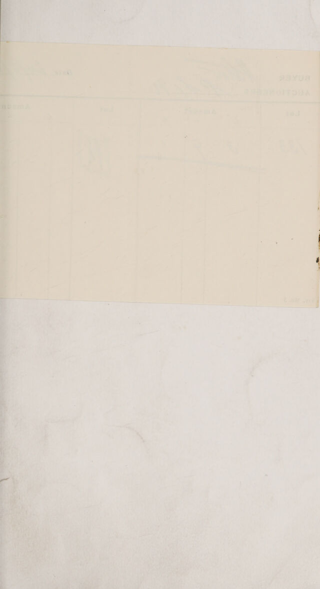 digitised image 3