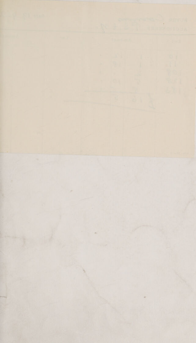 digitised image 3
