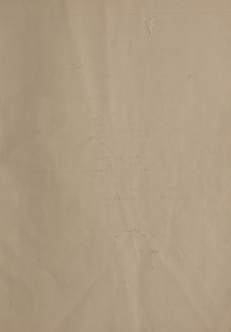 . « a Pe wi are ~   7 F = = &gt; ‘ it ms - oe ae ’ Ree Shei. + yt ae, kel “ Ai aie -f 5 ? i- - ee : A + vv ne 4 . - Ay ie ted ‘hy 4 : - cade &gt;* 1,, . Fisis ae aS an — . ’ J t, va - ng ee i D 7 ” H * *. =f ~ ee - ‘aw es LEP   ey