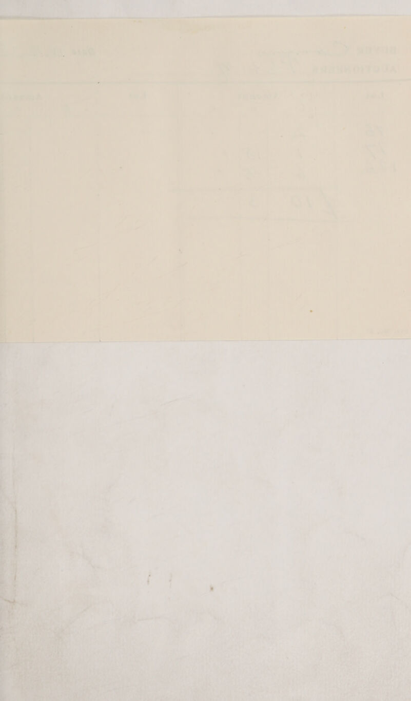 | ieee v : - ee — . — Poa ¢ a    Je? oe” Mead: uy rt a Y. \ een ONTOUA Jeuvw /