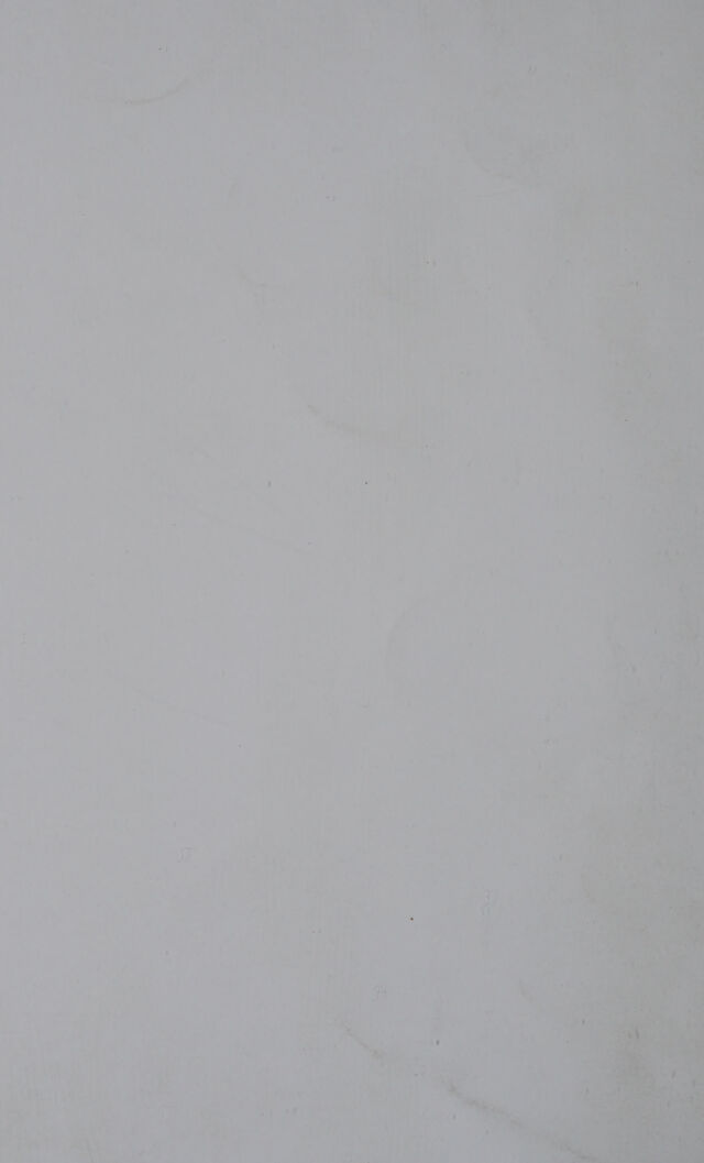 digitised image 2