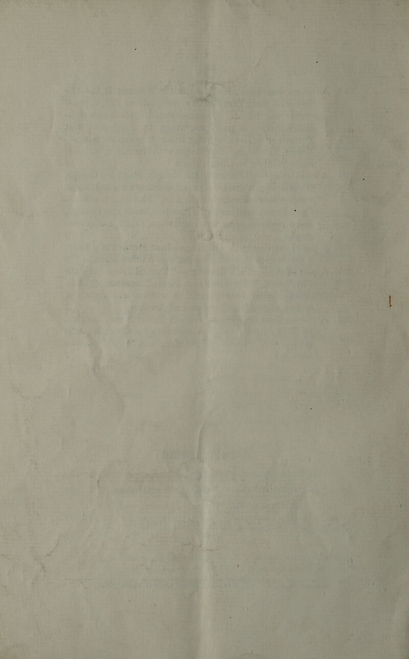 wee 1a | te An “¢ 