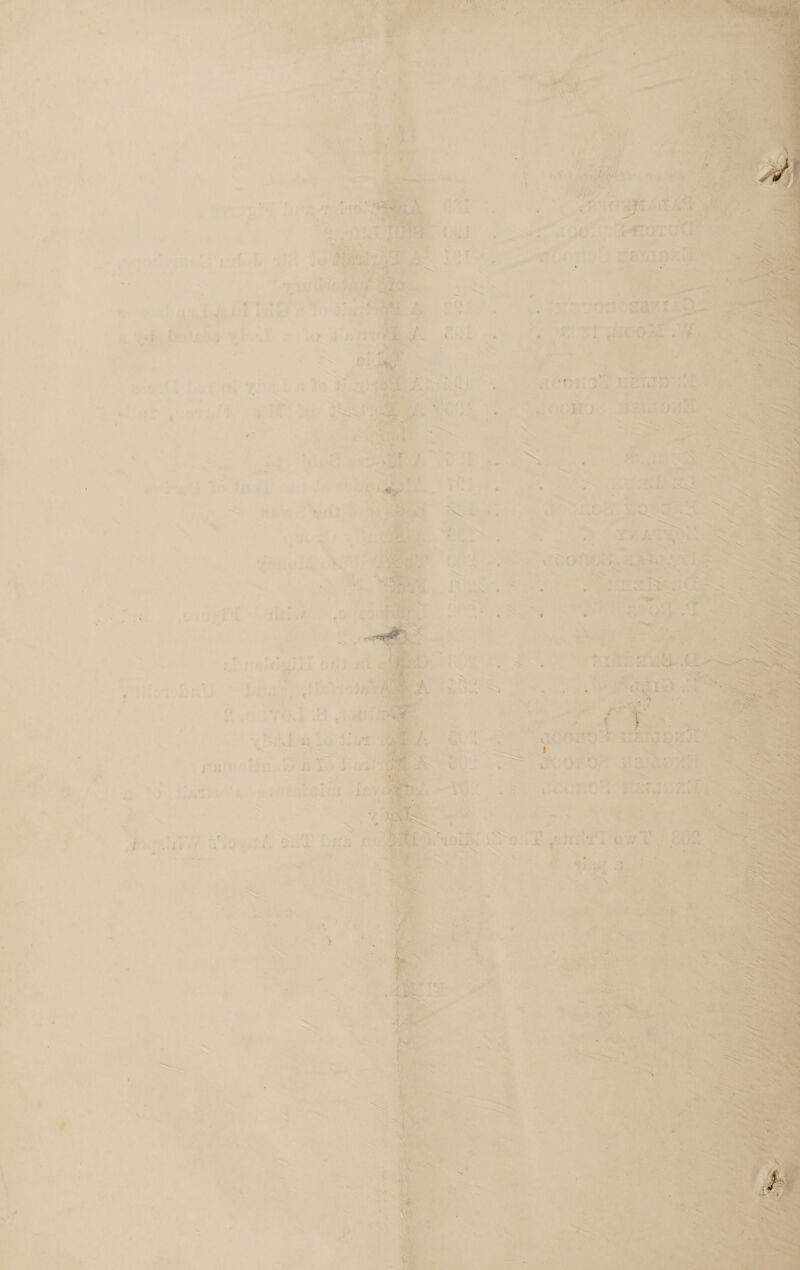 Bg ies as wal a ene oe crnOre ~ , ; 3 te ae ae aad a ae i ith an ‘ te ATE pds os ie » 