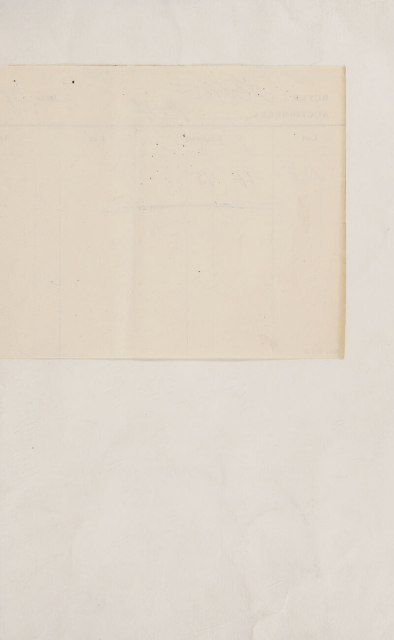  : » *  as aanortoy hn ‘ a ne hee weet   ?    ; . be ae ; WN Se ey ie HANS aN : os re 2? ht =o bo aan mes ely canker ver etree 7 ie 7 ye . - Dae vy nA = ih ‘ A a \ \ . : “ Ae | \ “ LW wi b Bs ; ee: —s ' i ee oh Gs y va A 7 Ne axe , Se ee AN tee J “ i 4 + ~ be hem Re ke ahs dt Te 
