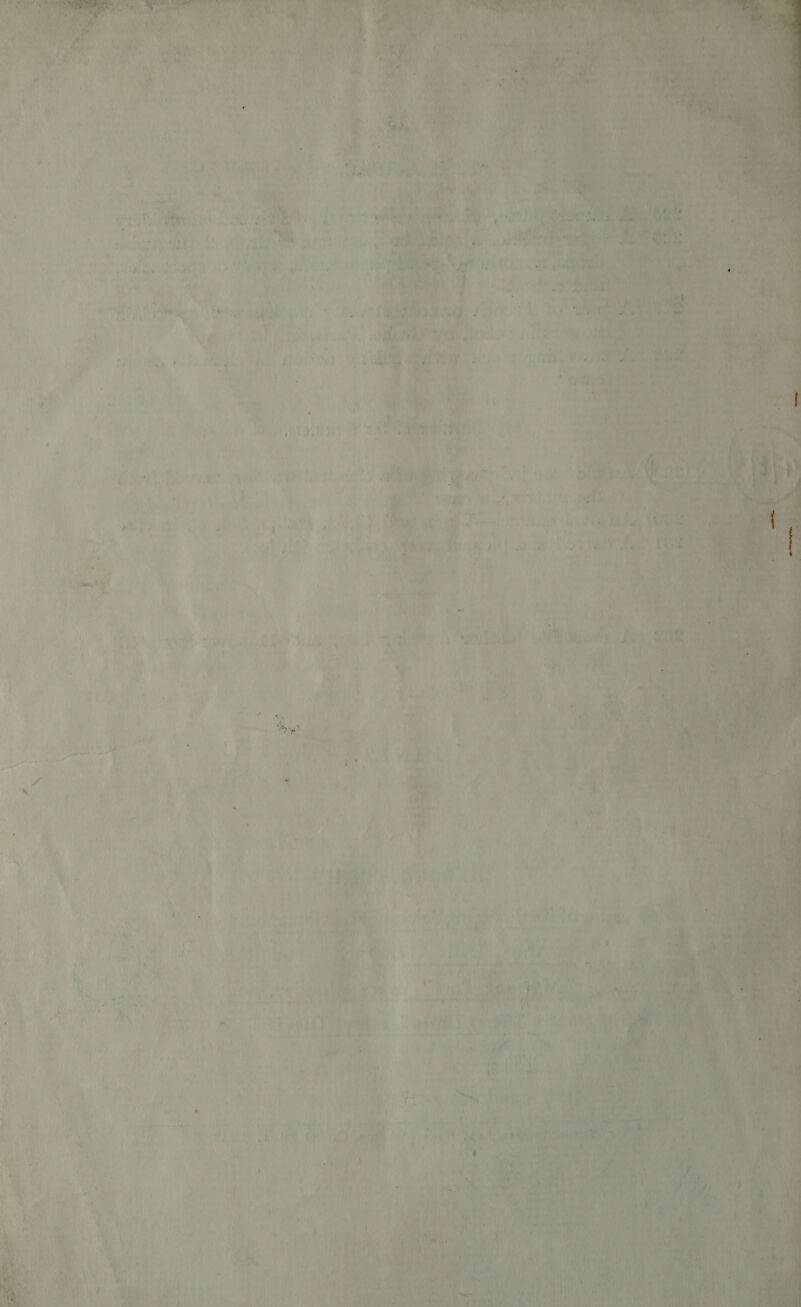   ¥ Ay ‘ eae oa) ; * a el . yy PEP ¢ J A “<4 Pe aa i f ‘2h “ am Aag) PD eer ' a. y Cy PES ty * i» ld 4 ) Spee 2 7). P ‘ ; a hi Z } .. : me :] me <   7 “ae ; ‘is hel aes es. Weeatine ¢ ; ‘ jeer’