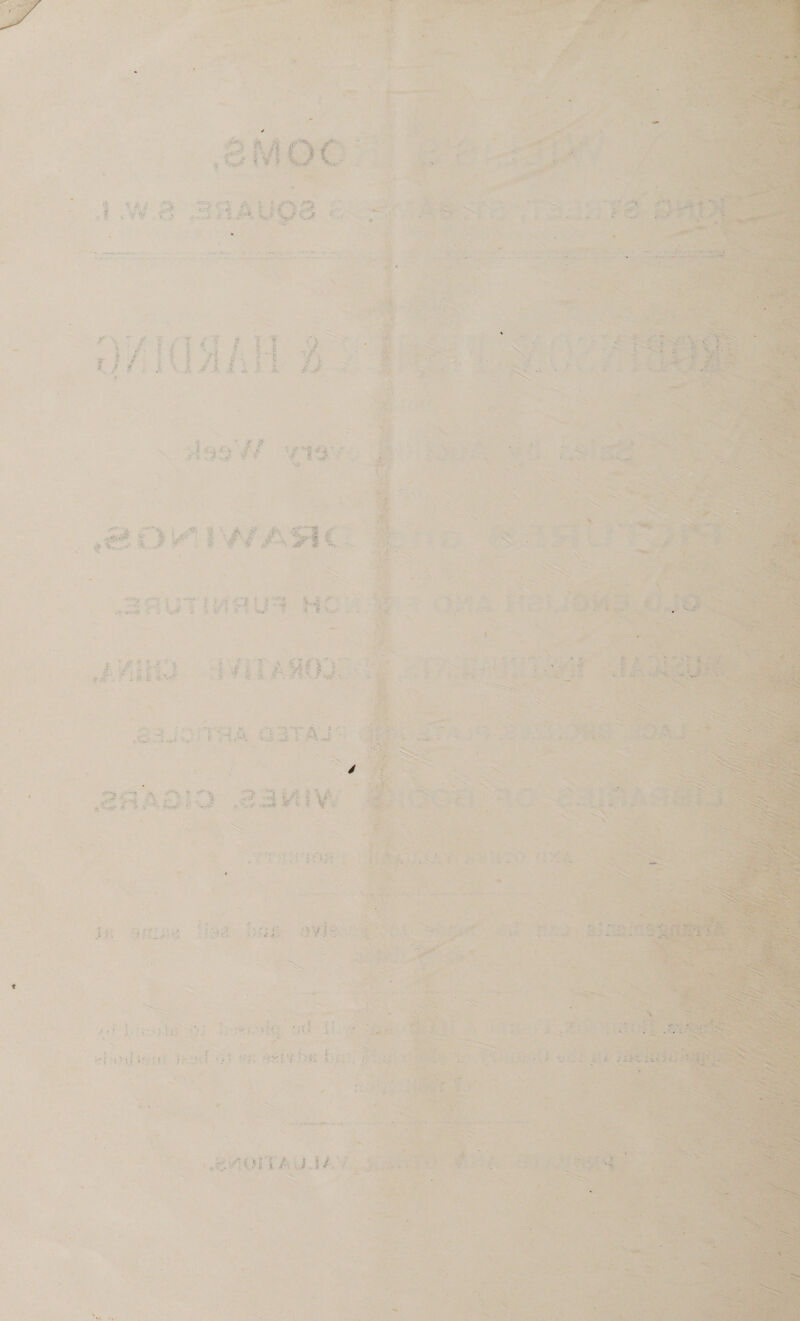  areas Sea - Nellie eA pw     Lo. ee Z <a = 1S ey 4 + OS wt 7 &amp; . e355 fs Be eel Es = deere