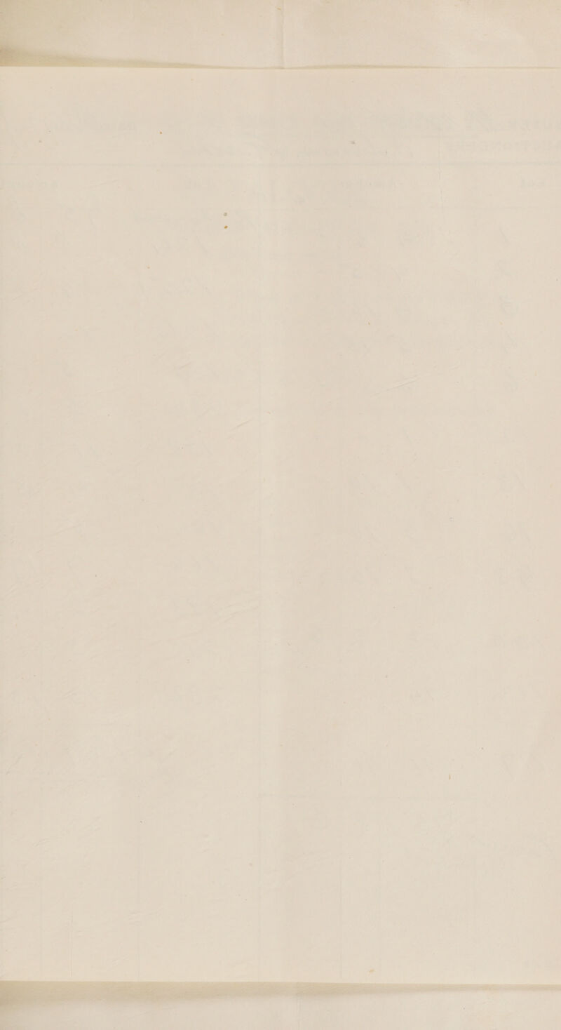    2 a li iy 1 CA , ao nm 7 ” a { . { — ' rie y 5. y F es ; ; j o r + i 7 t = ma « 5 ‘ i ) a w a 2 ‘ } ' , i a 4 : : 5 : 4 ey ; : r . y fe : A ¥ ie « —- ~ af awa 7 z = . a : ee / * i 3 i ae ce: oe a ‘ ‘ > 4 oo « ¢ ¥ » 4 * AS : Fei = > - 4 s < - = s ; r — - ’ wa , ; : (2 - . ‘ oe Ge, 7 i >. A . : : a a 74 » — i - Roa 7) a “ ~ pete. ¥ x re . a Bor ; 4 4 i ’ 5 — ‘ = / &amp; > 7 s ’ 1 J ‘ ~ a ' i - if 4 eld i aw # : tg : 7 rt J ; i : » > “oe ; ¢ “- * ’ od Me _ ® ke : . K _ ‘ ; oy ‘ . : Po { z ' ( ‘ ; pons } i ( ¥ _ i re ier! ' } i ; ‘ 7 i pt i} rr. ee fl is ; J 4 > z 5 a i <i _ ~ : ’ ‘ | + i ' 