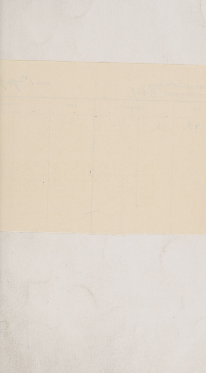   Ji   *   eA ; ' a » - *. + Fr aves, 9 ae = ne f F i ) . Aub a | Ys F ee og iv. = z Bes . iq , oe : a “y ae ly i. 1 a a 5 ts a ON Mt i, Paes ae hee  oh ay et per, tan ly   { i ¢ ’ ? verte   ; + 4, PUNDOS 1 iy FoR Np nr § attend 2 4 2% &lt; ; Po i ‘ | » ‘ | oe a : ae ee oe 2 ee | Fe , a ie i Jf han a aa ia eae eit 5. eee name en ee { MY: Me a Le 2 2 eo A= ges § vir ~ i)  x ia Y