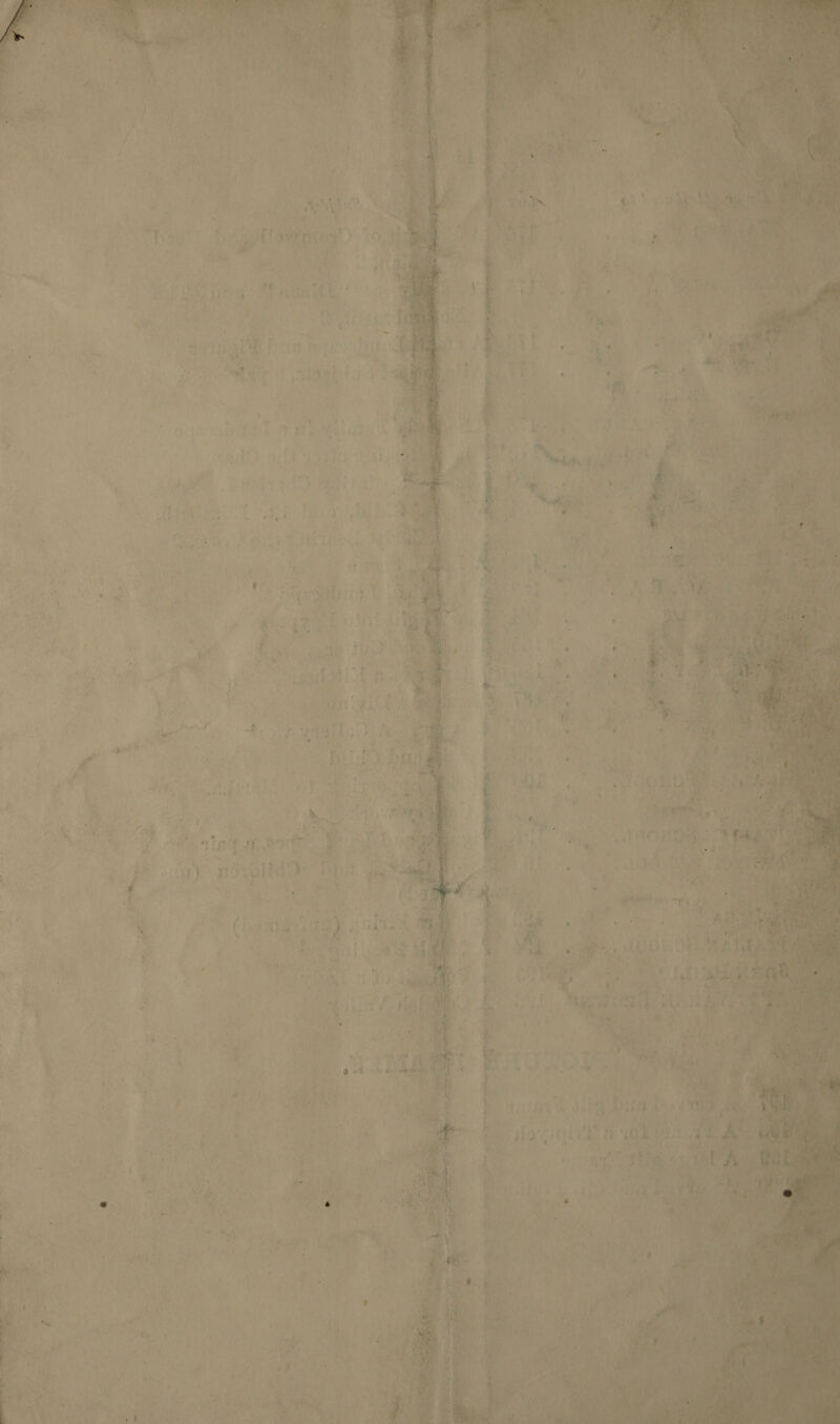 ibs EMRE Re | Y V2ETie » + ce Sfues er, we he des sm 4 = oT : foe dite ate 4 fi P Che ey aoe * Jig ia De P : en © 47} ee , at as 