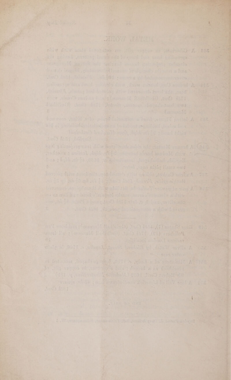   Wy a P “Ey : ws ; | ; | eS Citcir’ : fi fas itll Hoe. ets ia oF, aay scallion) ciwecs os Ate wIbsunk ees pasts Jed | tome p a ‘te Bie 1             b : : - y = ¢ i ‘ &amp; ~ Lis © in 3 > , ‘ x ’ i ¥ - : . ; r « * ce . 4 Pi era -ca we ’ so, . Ue hand Meh 2 ’ ¢ 3 . '¥ _ i ve 418 r ’ $20? % % [ . aos * . a y 7 ‘= A ; - , ‘ a . = ce a * * o > ; 2 * tT + ' oa : r 8 ? had fe ns os. = ‘ Peg’ ¢ * - ba \* * « * ~ ste fe > 1223-35: SJ 4% ‘+ > ; ® sz “~s t : [ te 5 7 ‘ ‘ sd . é eee ee eee | < £ F   mahp at BOTT seeAassk ec ‘i 5 af +S ai a non ” F f~ or, Aa = Ne | ae “Ty oe ‘Reaicnl s Pee ee Hatioar. .f 1-04 (ee O97 Fs nee s 16 ‘si patel fi ~ * 7 p } >} } g ; : fs at id we br #55 cient 1 OY { fis te nasa yie ty 1 S583 a : aid is inv a Sa a ey Sus) GF] . | } s - : z aba og nN? * Lage