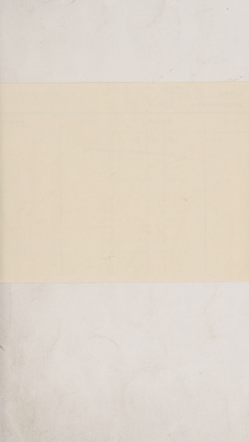              -e. L 4 cane a, een ae, *) ' t Ae ho Pia ; i tee 4 Tee? ; : i p RnR Cy Nhe a A Mh ccs et A aS che a a ESE Gt , i - “ . : i ae i ‘ . he) 4 hall Ne ae re pe 1 Sad b eA se ee? Be 1 9m . - » r :  . satnpealsiaee ges a aot weet or ee ol eh ee sevice pune “oa i ta ay es ee % Lace ‘  Eyes : s ‘ony ; yup’ ' . Pio  i 7 { ’ ' ra. as an iy mate tien pe Rasa l hat i ‘ . it As a Pal nh Bt apt Me ae , ioe ; Te se merlot er a eed Sipe ry f r - - Ao 4 a . ; =u ‘ y a? We a ae eee ee ed ie a ; Ve Sade * i ner: bee ae, a eee ae ea rim que , woe ¢ “sestyebiee inde ead ijeerap bien baa ae 5 5 i : of Gor st rl oe Ea E , ‘ 4 wees 1a: 1 4 Pah eae i : ck t Ve , Prac SAE AIV 43.020 cane de sie Bea . CG b uy a ayer , ae j 4 a a . » ‘ ’ M4 c= } - 4 aa a5 ee : ee ee ry x 