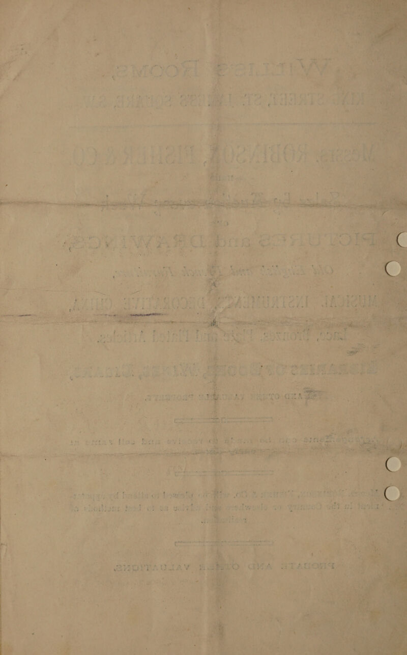   yr 12 TART eee gee reso ricint ree eerreg         mn es ba a} Bit i. se? - nes Pi =e * ‘i “ gat +. ere A Sek aa teers ae re ete S aeee as ded olin oe Fie tol q ot sh areal aon wee BETO     , 1 <a Peete Ae cae ae (a. eftia t ieee S peer oe oh ete — ey se pee gee Bae ert’ mar tt jek heel 1a , id POS trek te | ‘ hel yet dead eF 8a ours! i a oedaaele 49 ‘pies ne ha a: MO * bas asd py ER) ea ie : ns ce bd RP ; 