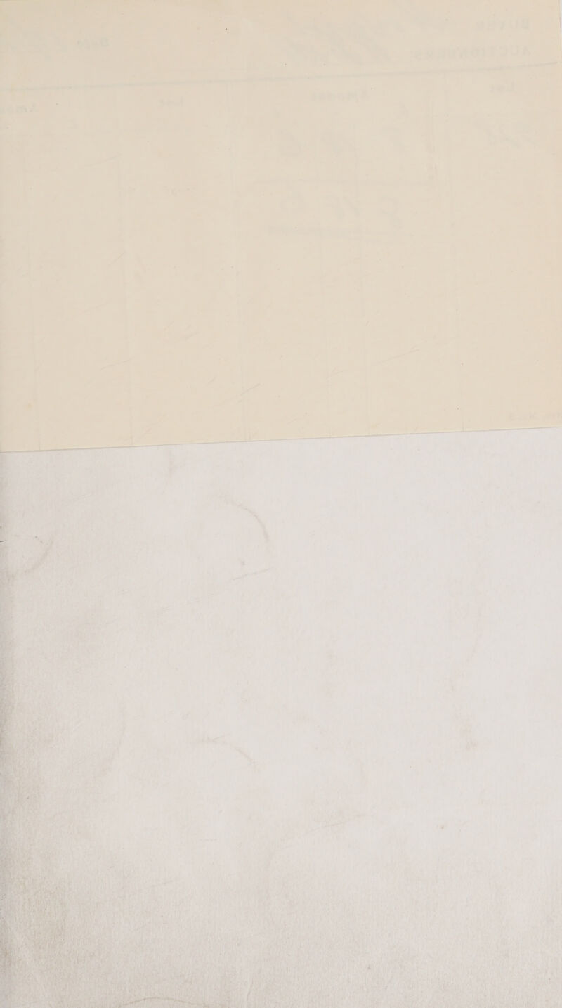   12 he ~® 74 ; 7.) 7 +/ i, AY ’ . i 7 ¢ &amp; > 1 } -* i? 7 ‘ im ° | 7 ry x “J TA ars ; - ) > i  a lll ia —— ee le i td 7 vane amen — ee ae : oO 4 @) ' Fa ! 7 1 # aa P < yal , ve f . 4 | ; ; ‘ ; ; 3 