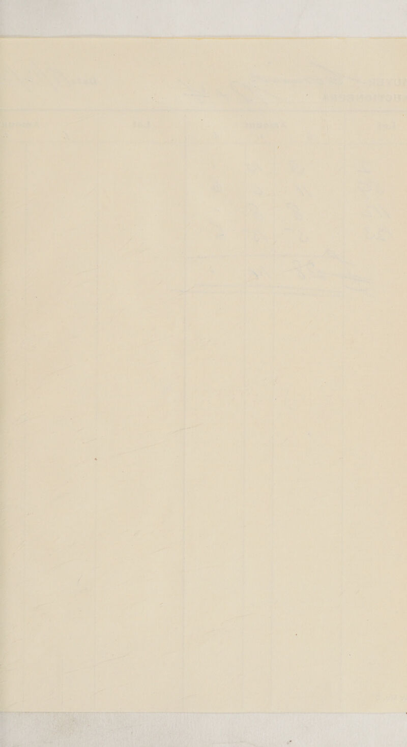     7 tae a oe se a eh ~ ; iz i ie is . So ir ab = | — oe ise  le hn ie eS a, ae . a a ee ee ae     iy 1 \ e. \ \ va | 4 : , ; nye e . : i @ \ By ora? see eds 4 > , *s - ea i f al y err. 2. d eel “ ; ' Me ir = r i + ol rem o ba ed a Pos maf - we = ‘_ hy } ; “~~ cA “a - I* i tthe 5 J : + ee tee | / R x r 1 i 5 ’ 1 ' La y ii ‘  