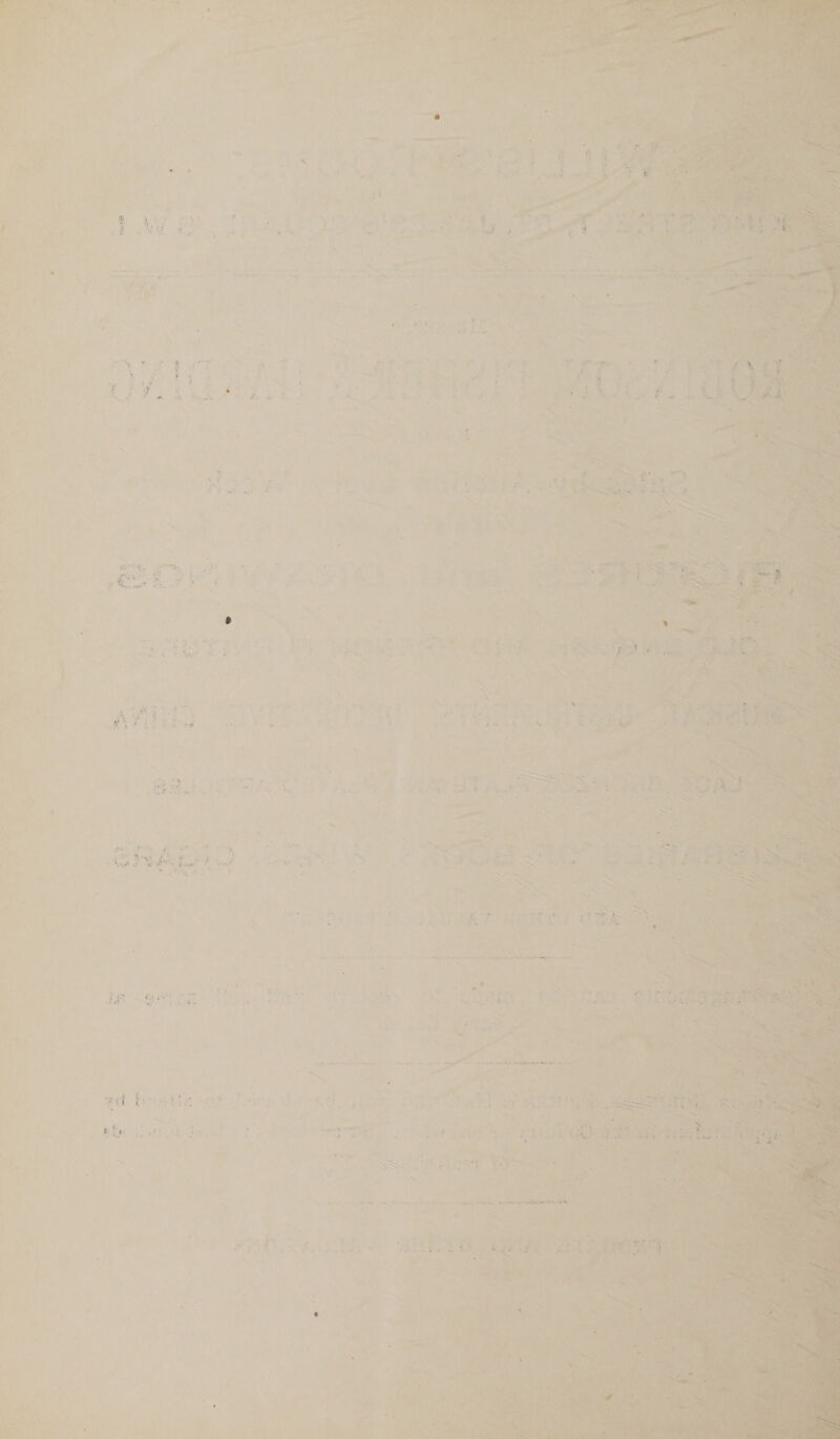           is o e eee Pe ieee ie => Hh ae { om rs | ae é . eet ee ee a ’ re re ag  hearts Gol Maes da. A F  ee er :   a        ieee eae 4 ’ t > ~ . bese Wie aa Al 1 eer m . ae pkey, Heli celta <npetion Sendnlag i ~ ~~ t 4 ‘ 1D Oy ga : Bod ee aa 8S 0 ee Seas Leta | r 4 to 5 5: Spon pies aS * ar Hr, &amp; > ‘, F y Seat j o i —t wi &amp; r ‘ i in f «! b. ¥. = Pars = by ¢ re, fh ee a