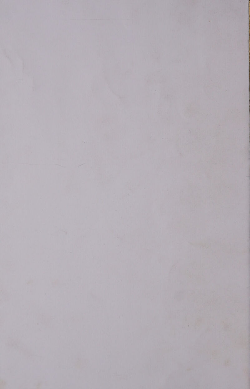 eon ey. 4 Cigpet &amp; 