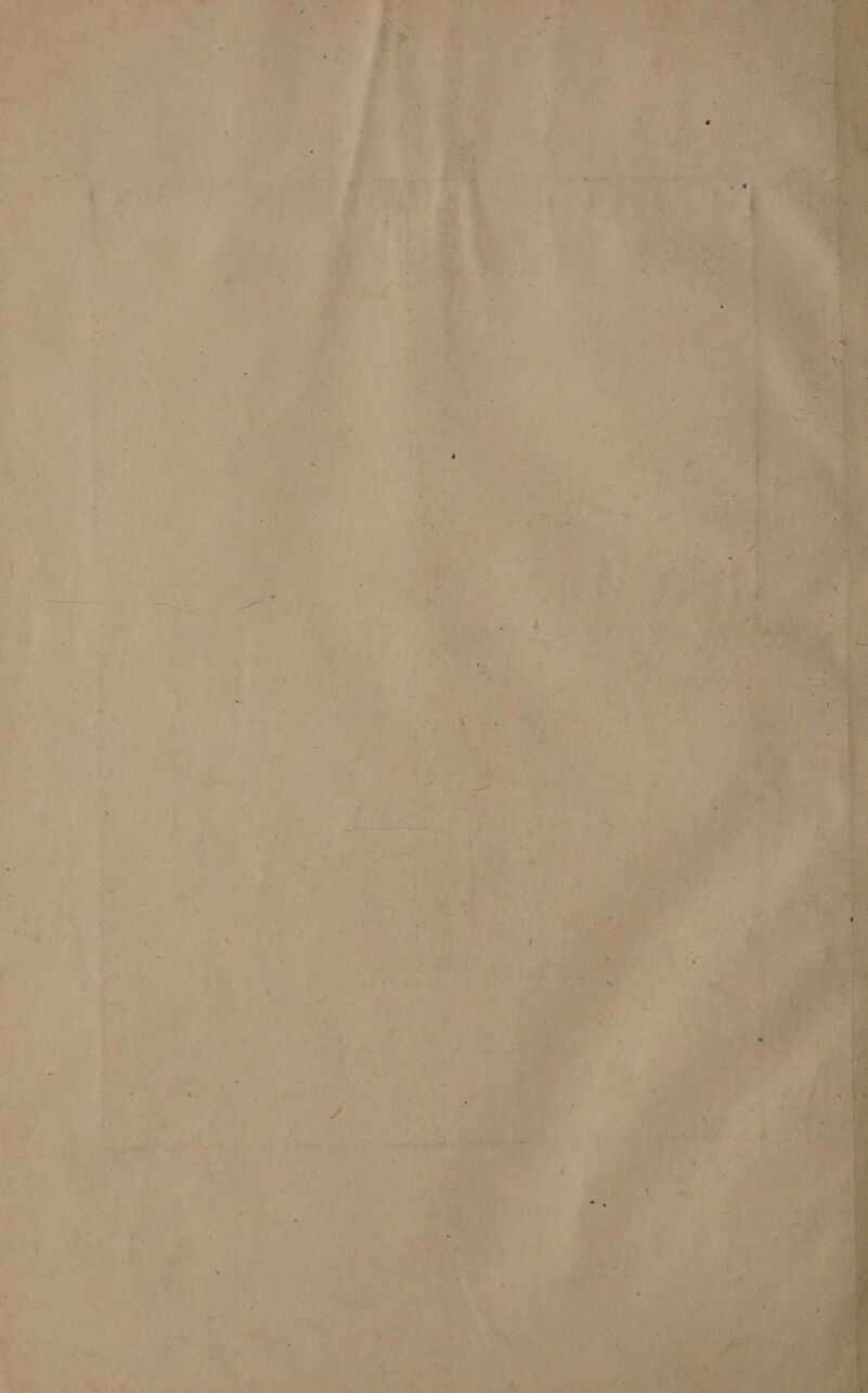 tage d tae ee) n st ‘eae Pe 