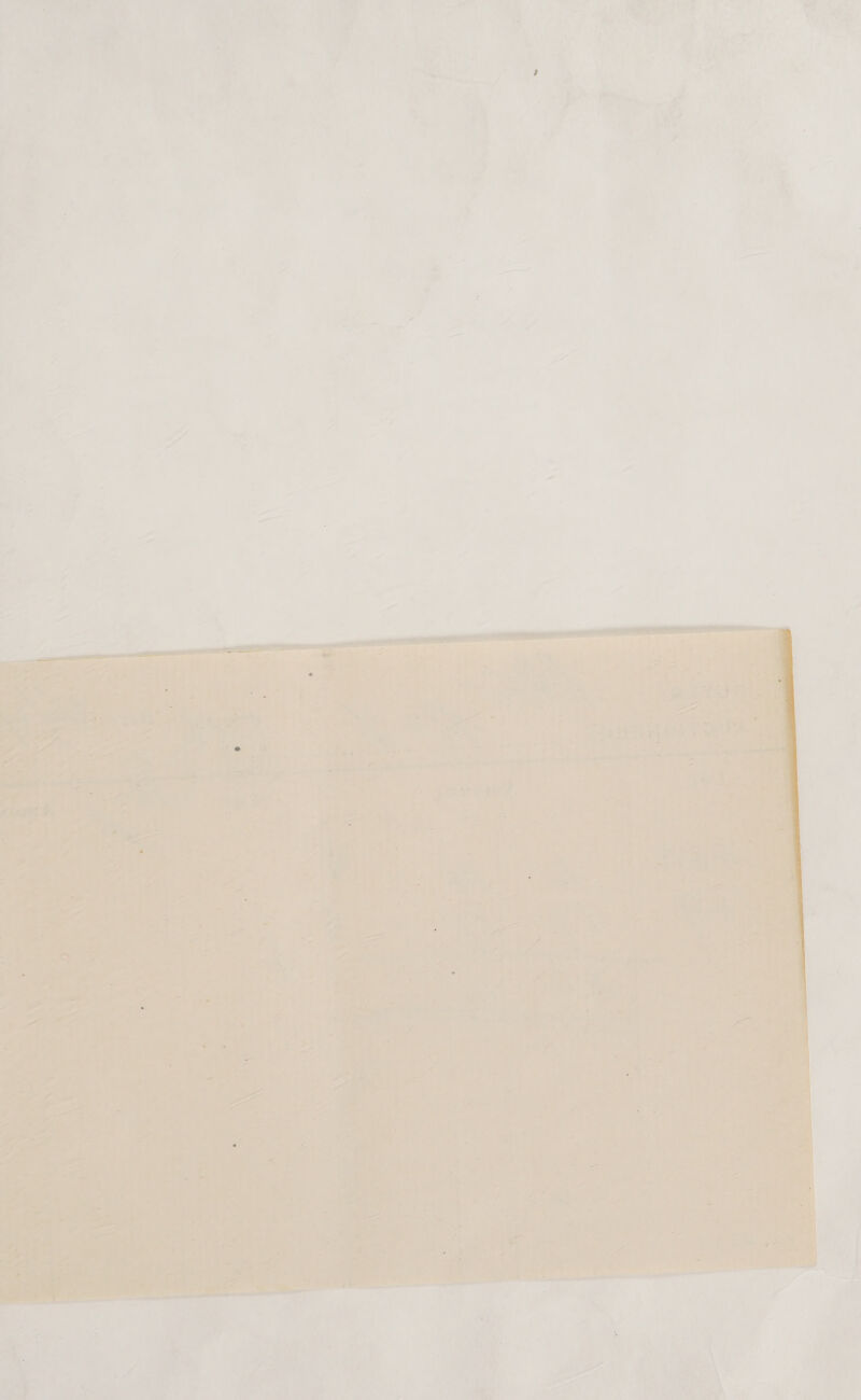   G ¥ “ \ A A rn PAT ( ‘ :  has y 1 t 4 J \ : ie ik Mey \ a) oY | \ s f * ‘ i ‘ E ‘ . an ( , 7 . = ’ { f ' a tee stn , t ‘ gf F, F . j : » 7 * 4 y ‘ 0 . ‘ j ~ ‘ ‘ ‘ — # *   uo i v a { ' + pos 4 ‘ : ‘ A \ Y f ' - 5 4 . rey : \ F , f oe hak 1 ‘ if n se ’ i ia :   