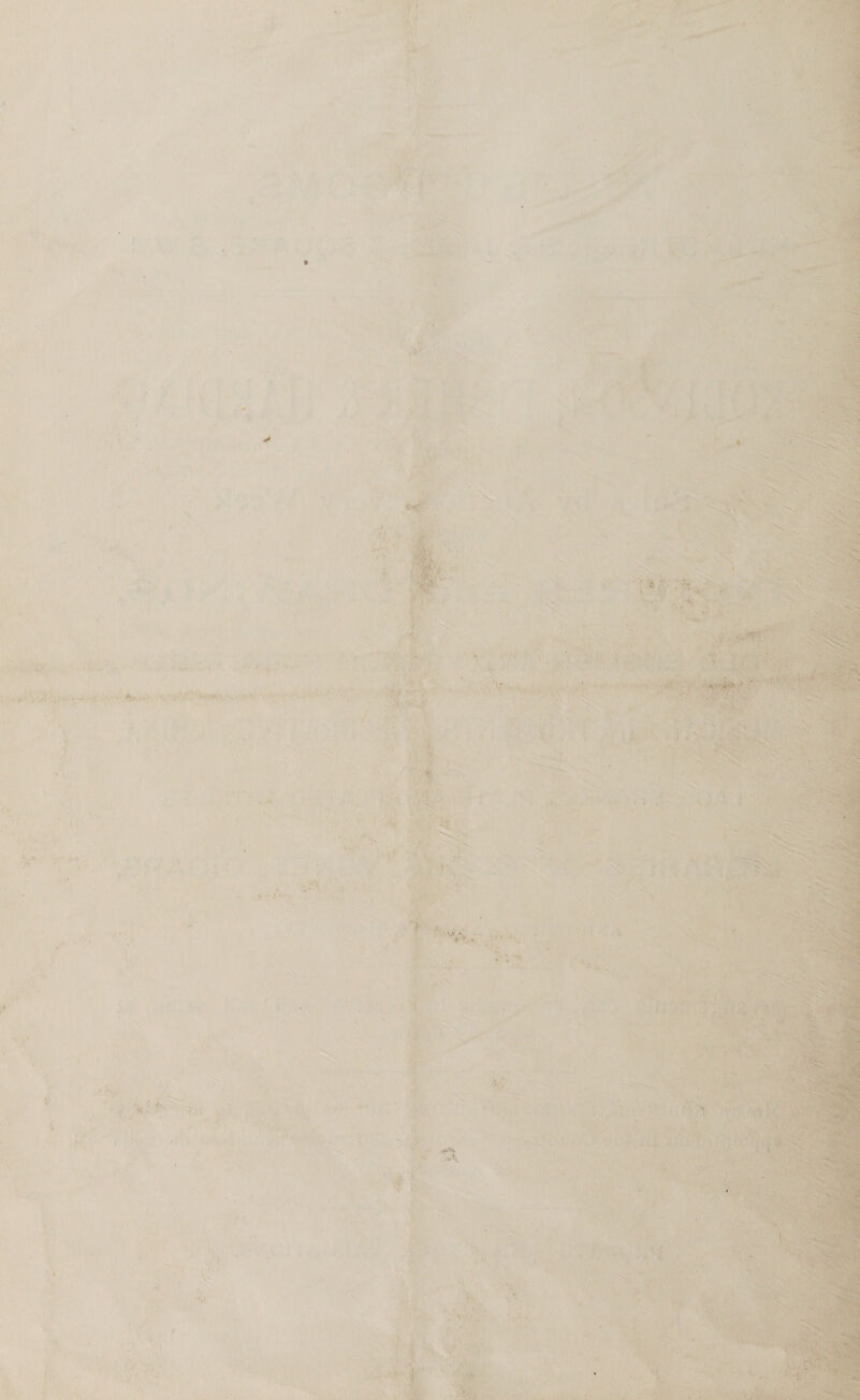  A * , . « ' : iy yim ? cy ‘ J ‘ ‘ , i ‘ ernie ly  haze oat a ae bo ace a ty eat ¥      ye + 1 i a . s v f ‘ “ai > j \ ~. kha : uy i i ii A , Holi. x } j , 4 fy oy . z t yi : \ n ® Est? AF c ty te ak es Sry  