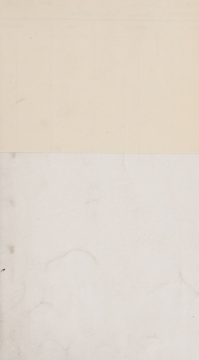  a Te > ’ = S “* 7 en) ee ee  3 te aaah: 