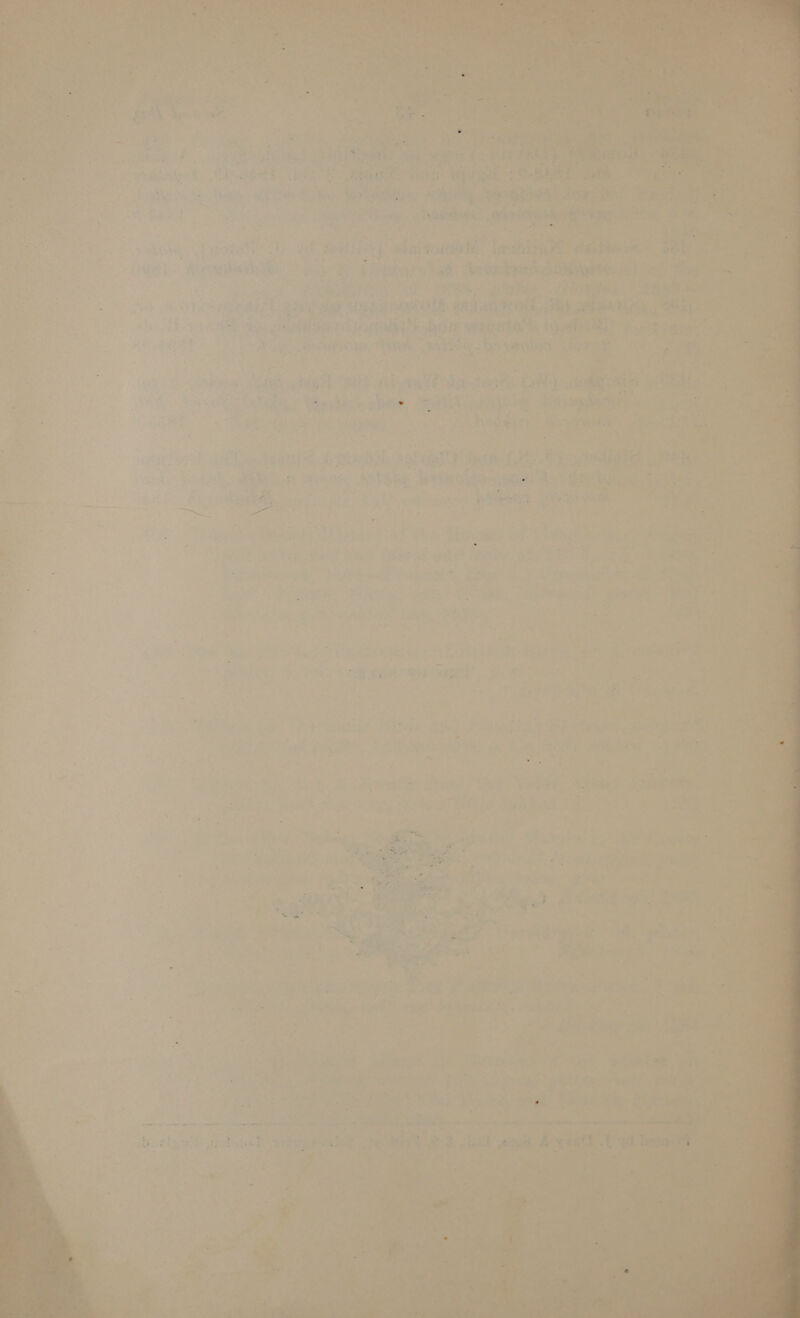               3 eae yeh ae ett. Siiiing| Shh: neler Me ti os tes y j * : ¢ 7% i +i 1 oe ’ r. oma fsy toe? r % Beak ; or: a wa Li ce! ee Pork ;  3 ty : Z . : 2 ‘ ook J *f i c ’ xy a 7 % -¥ PPS : ? a ~ is vif Lt’ “¢ i sho oth re! i - Y ‘ ‘ ‘ Qs 7 a Ae Pree OP eh a § ; 5 ae me ‘ “ ANS Sbet rear ey | essrk Re vee tu hag - 5 a i et A ee ee » ai me (ant [aaa Fee bear a : Z ? Bee Les! : a -_ * . rs o $ ; F - hi +   + os ‘om P Thrace cs soba) ae