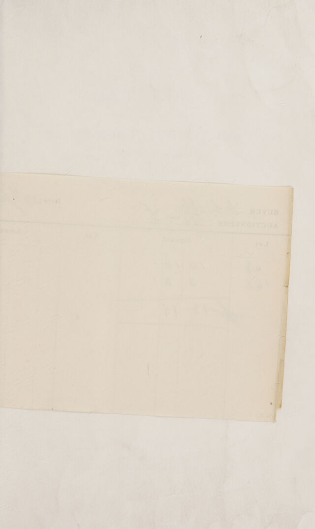 digitised image 3