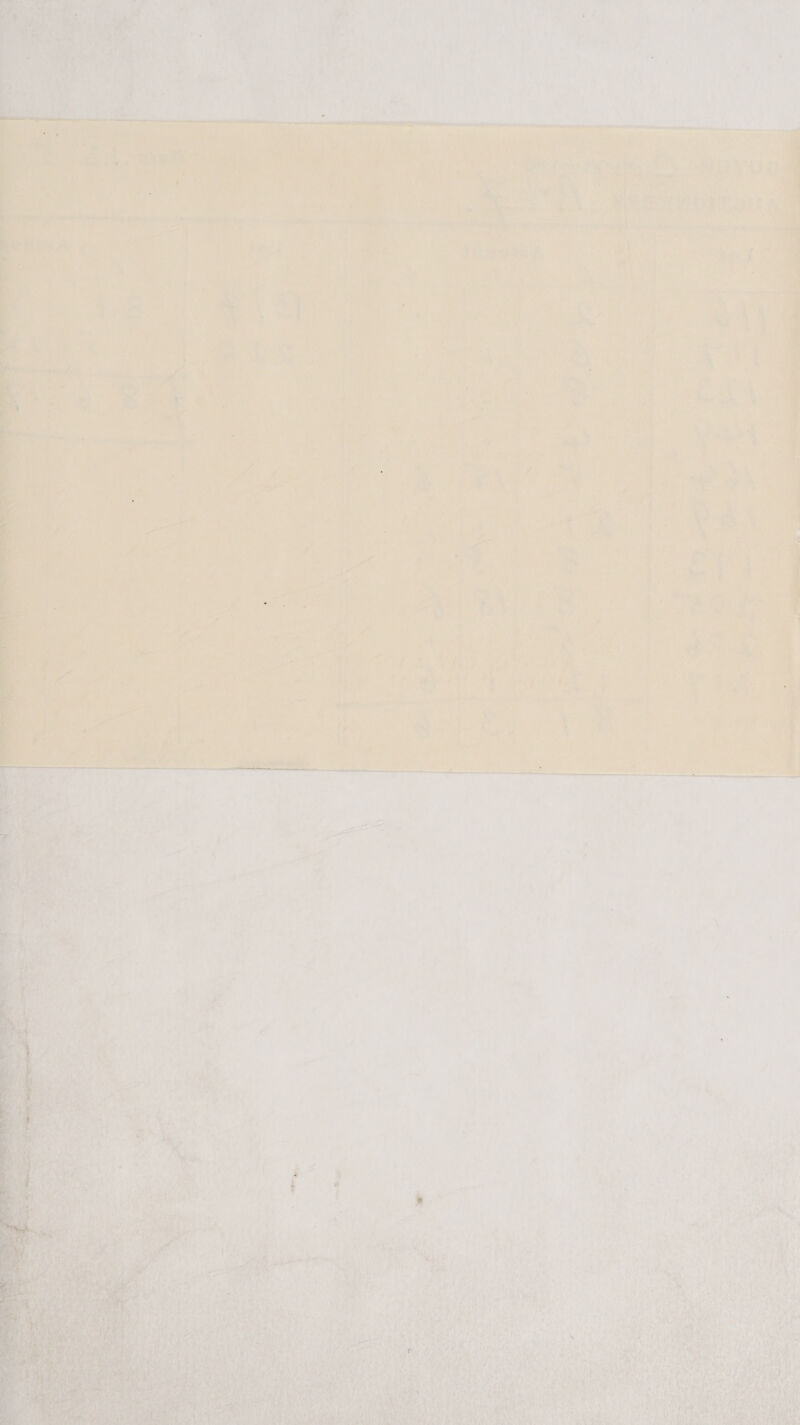     Pee Pee apie ate O RE ep. ee. oe ee    Sa wa. /.  + ' ¥ rf a Yh, _ + 4 ss 4 dae al   -     port