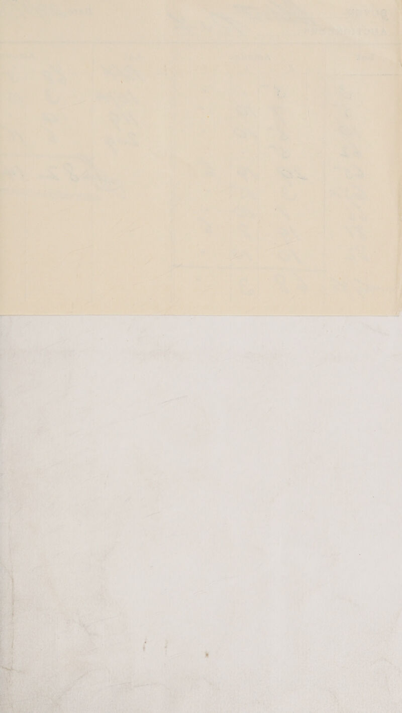            aA bs me pn? a : q tae al hy a: i on ree ah ole i ae, i vy ; ca as) = ; ly _ } 4 4  * ' me ;   ’ : ' wry ‘ ; ors hast . ae: is why oh ne A SOUR te OY PO Ae ny seatan Aaa ee ee RRR: or | r* a4 4 \ © ’ - \ : / hf j rt. yi Spal vk  A + he   i ve ier eS a ae A ian *, pee ry ' . : ee < at   aad ) » > < / id %: cs : a ‘ eo fae   ey Pra tes } a y a a ab oped i '   =   ns   ae Sir ay yi Pe re =F Per,     Bas eR gyn nate WP as Soa Rape 
