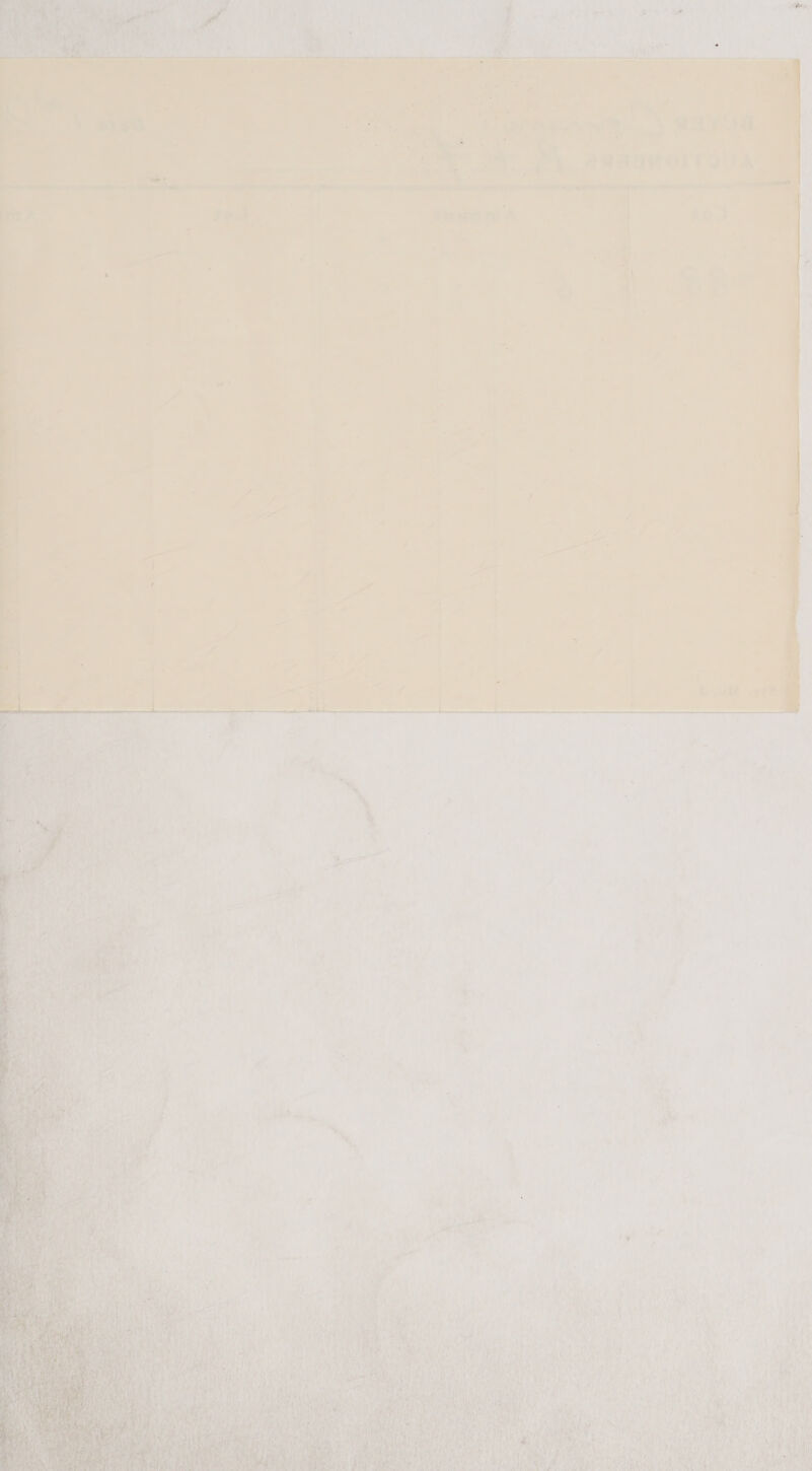   iw? ee . 7 ? —— . 4 q A tr — 4 a } xs st a - 