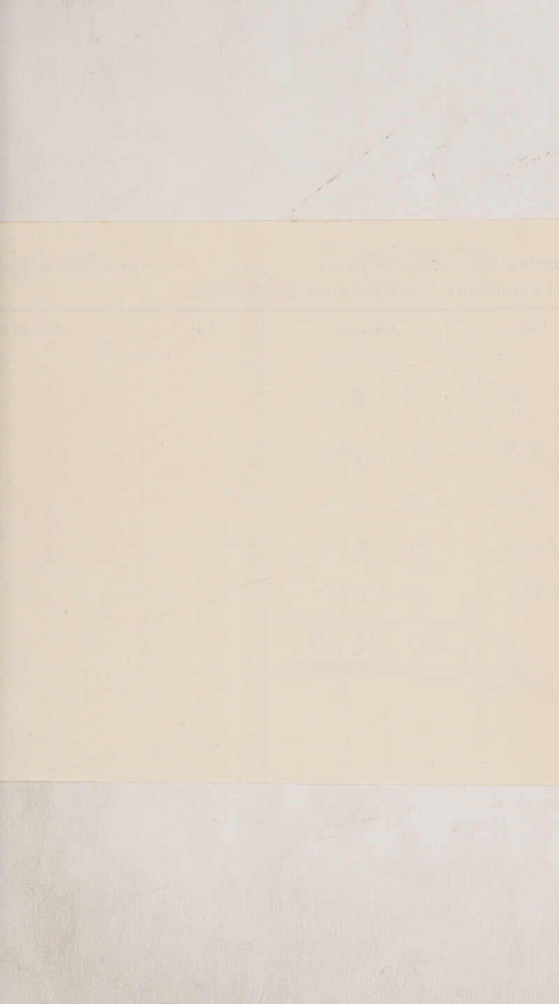     --* Ay - bus a oe ry, i : q hg Pe 1 EB Bi * S$ hes o Le , é ® a) A oY >? fs ; \= mo al : » 7 ae 3 ad ‘ + , be. Te 28 et riaee x Wl AE ste om ee oe amen apie ie egress ee ee eee ee re ee t : 1 y S = az *, : 4 ra LZ Me 4 : a )  h: ie te it A ; 7 ; bed. oe i : PoP f y — = . 7 is ¥ .  > 2 ni — ; y ——  —_ > ra } Pl - - y 7 eee 7  J > A P ¥ Ps . < Pd > ‘ ; , j , = © s yy J = — , . = ss ; : : i= —_ ay wa 7 - ¢ oe ‘ — - a = a : 7 : A es - ft re : “ e _ 3 i? - = Hi s J é ‘ » 3 , : - , ; 2 ‘ ' - - : % “ if Ps ’ ; ~ a 7 , c 2 —. Pas i , s “s * J , i J A of 4 = : er es 7 oe a : E oe ane. : : ee : 2 ‘ - ‘ ’ —— * ‘ * a 7 ae : | a tee = x <a 2 B : 7x 7 a v - : , > ‘ 4 ES ~ ee © we I “x J A - « = ae -. h i Pa <* 7 ~ + - oe + « ; = = nl, = ( eid ’ Seer * a ‘ a et r ; f  As | tare a r Pal all heyy a Pedy ey