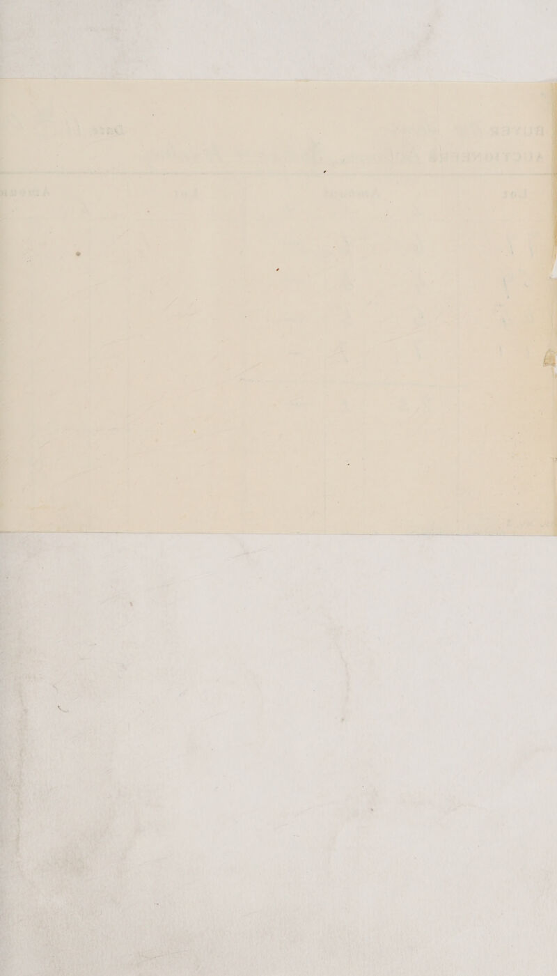  vt i ra , 4 ‘ a ¢ =, € i « e ae ¢ , ‘ Tey mh = ye ‘ . ; ; de ie :    Spee, Ye Sa jo, ésaanorrousl yo.!  