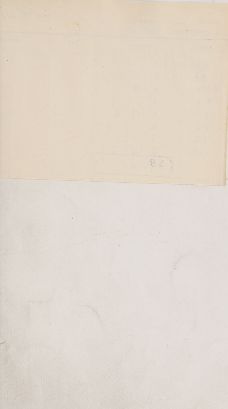     ) Ay inal : aa ry me a aka aet ah a re Pein in A a ea A ; to    “ie ee a ‘ Pe on yenaraaboetsy Sieh oo S08 ee * ‘ \  if bia 4 “ yas Pa Fe : ¥ - | he ¥ f i | ; ‘ee A nM A ' th ; er, 7 i rs ~ ’ a r f » P ps 4 | Ps aia é sal / ‘ val i | ; an t coat ane ain . K { Ss : ; 4 . 4 7 : 4 ; ssi, - ta ‘ r f i i ; ail J > vu U i} ; a 2 e x 4 ed “ ; = — : F a . ~~ 4 : 5 i _ } ae Ee - . , wt EY een eal co ¢, 5 : oe . : , Ma Sd fi ee a , — 5 me “ Sma ie 