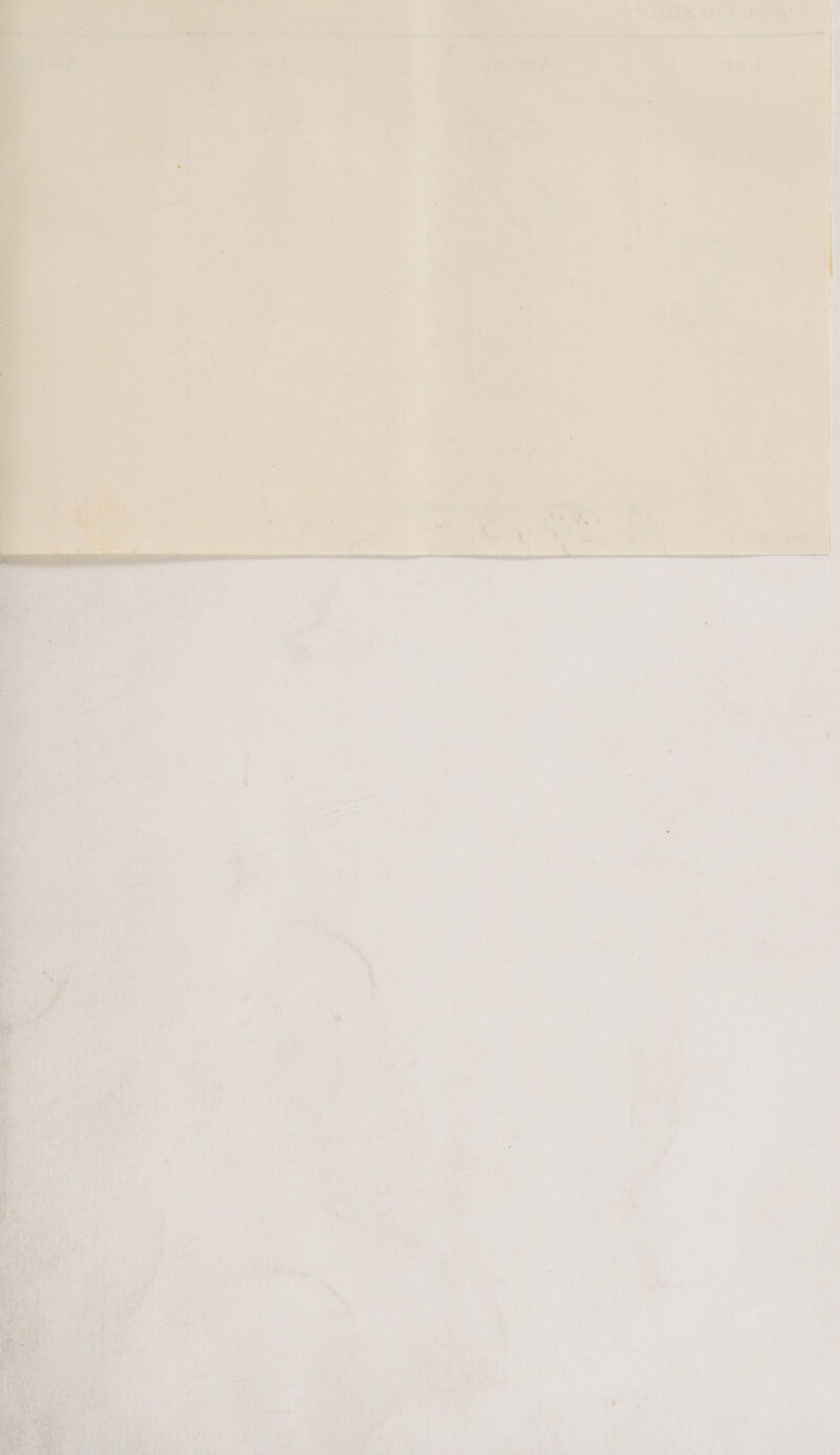 SON Fe OFF IR pl eau ea Ly y os) . ’ : ‘fe a Wud | fy , .     oe _ pan ia Me  om. , I { ;  { a i } , iN ' \ 4 > : A 4 J | el \, ' ad , « Vie vrs > &amp; - . . ‘ i rT fe A wa y ie = fe , es ; ‘ { : ms ; vith ve A pd ie rea. | ry Lag tl &amp; 